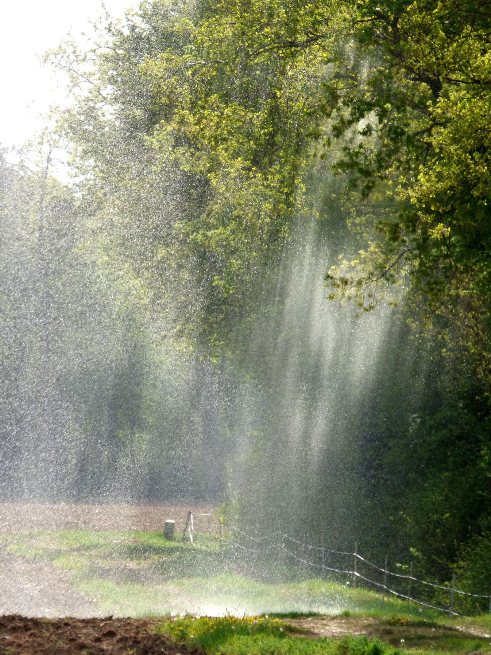 Panasonic DMC-FZ72 sample photo. Watering, agriculture, irrigation photography