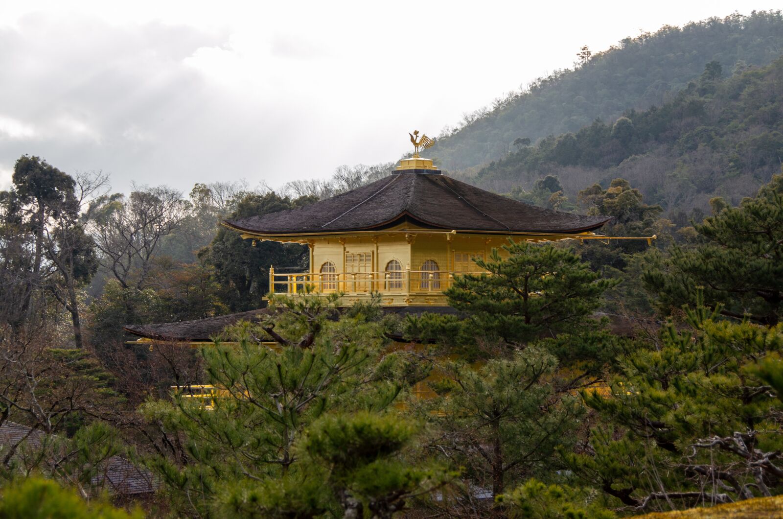 Nikon D5100 sample photo. Kinkaku-ji, the golden pavilion photography