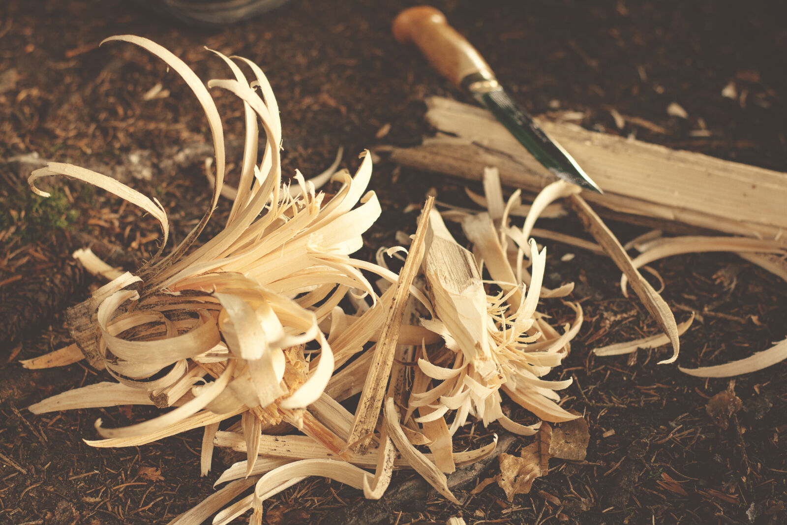 Nikon D5300 sample photo. Bushcraft, dry, knife, wood photography