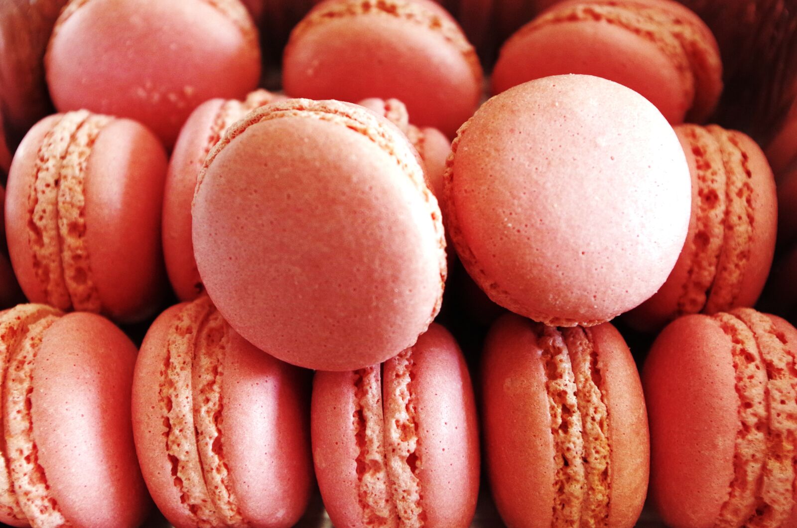 Pentax K-50 sample photo. Macaron, pink, rosa photography