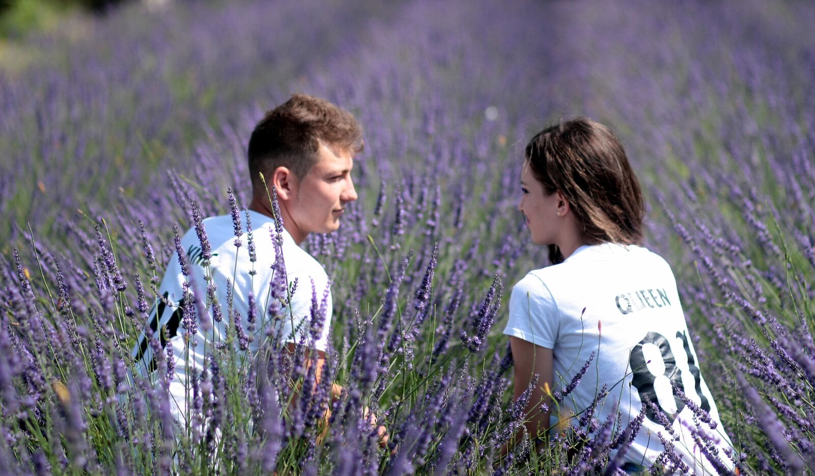 Canon EOS 450D (EOS Rebel XSi / EOS Kiss X2) sample photo. Couple, lavender, love photography