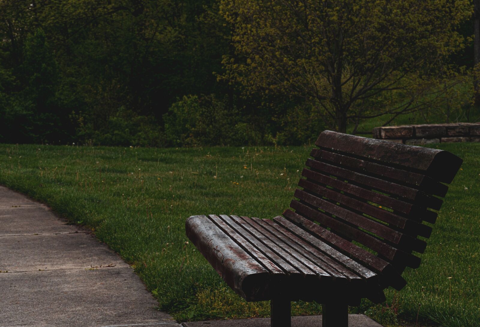 Sony a6600 sample photo. Bench in the park photography