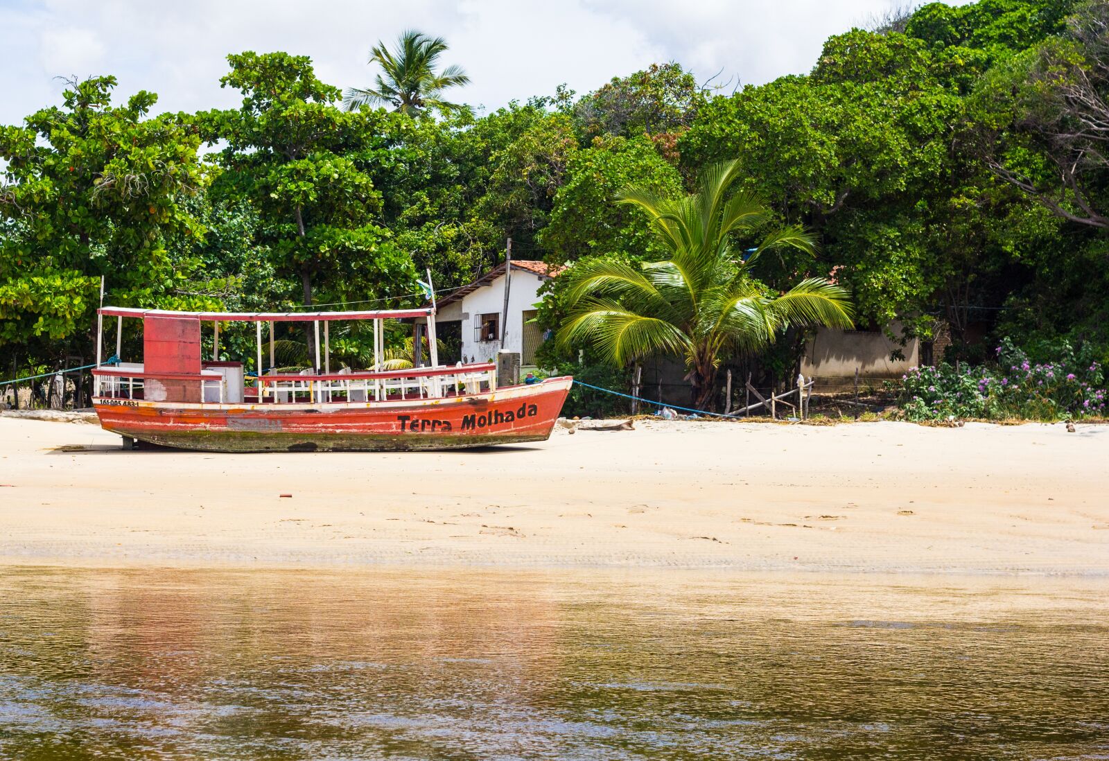 Canon EOS 60D + Canon EF 50mm F1.8 II sample photo. Boat, river, sun photography