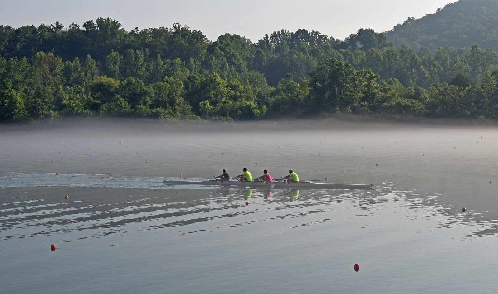 Nikon D3300 sample photo. Scull rowing in fog photography