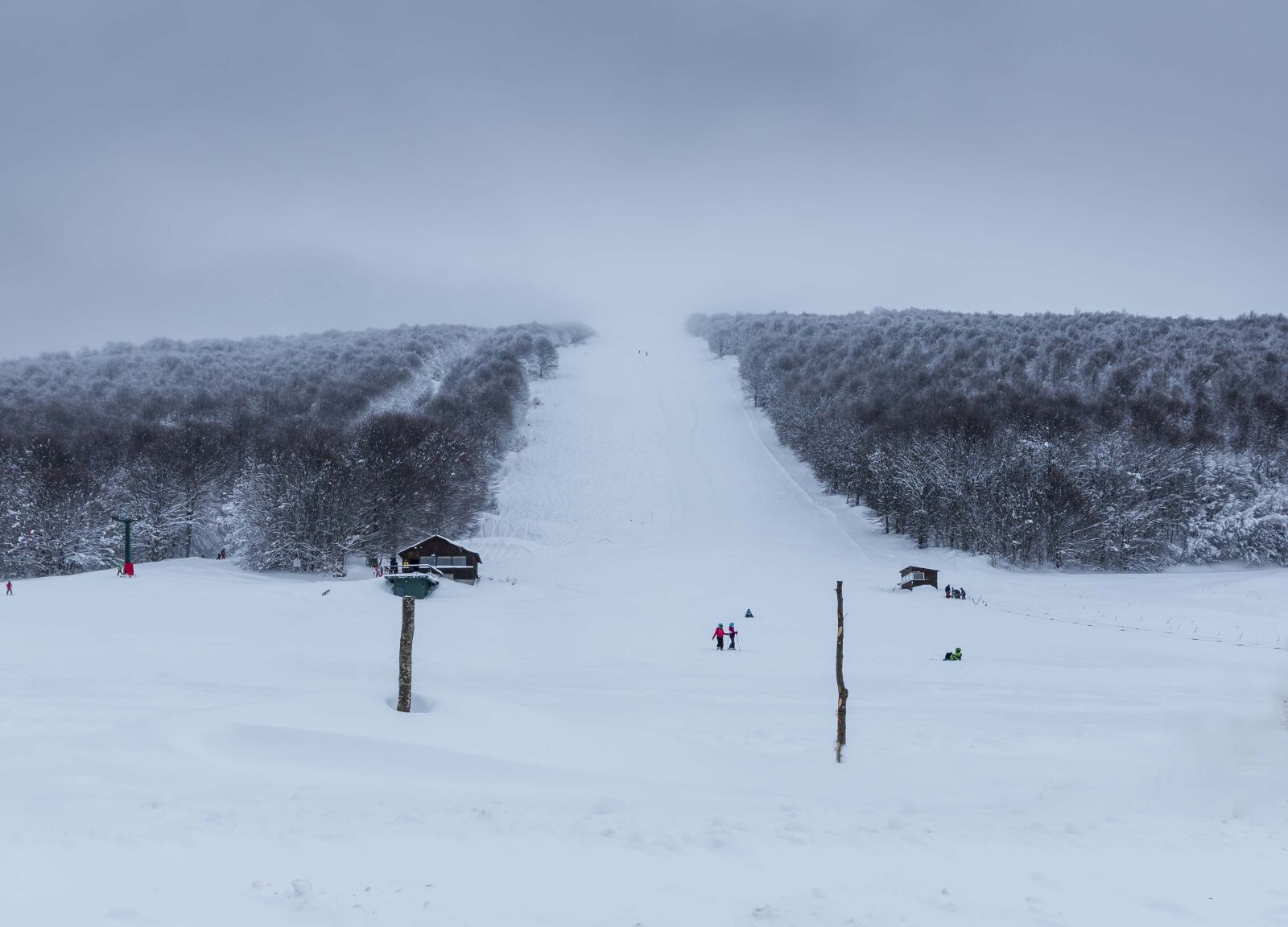 Tamron SP 24-70mm F2.8 Di VC USD sample photo. Snow, cold, trees photography
