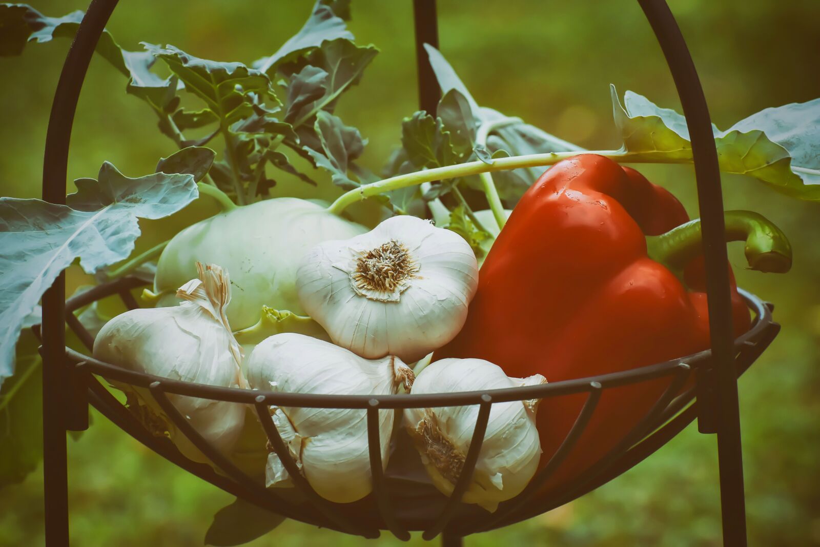 Nikon D7200 sample photo. Vegetables, paprika, garlic photography