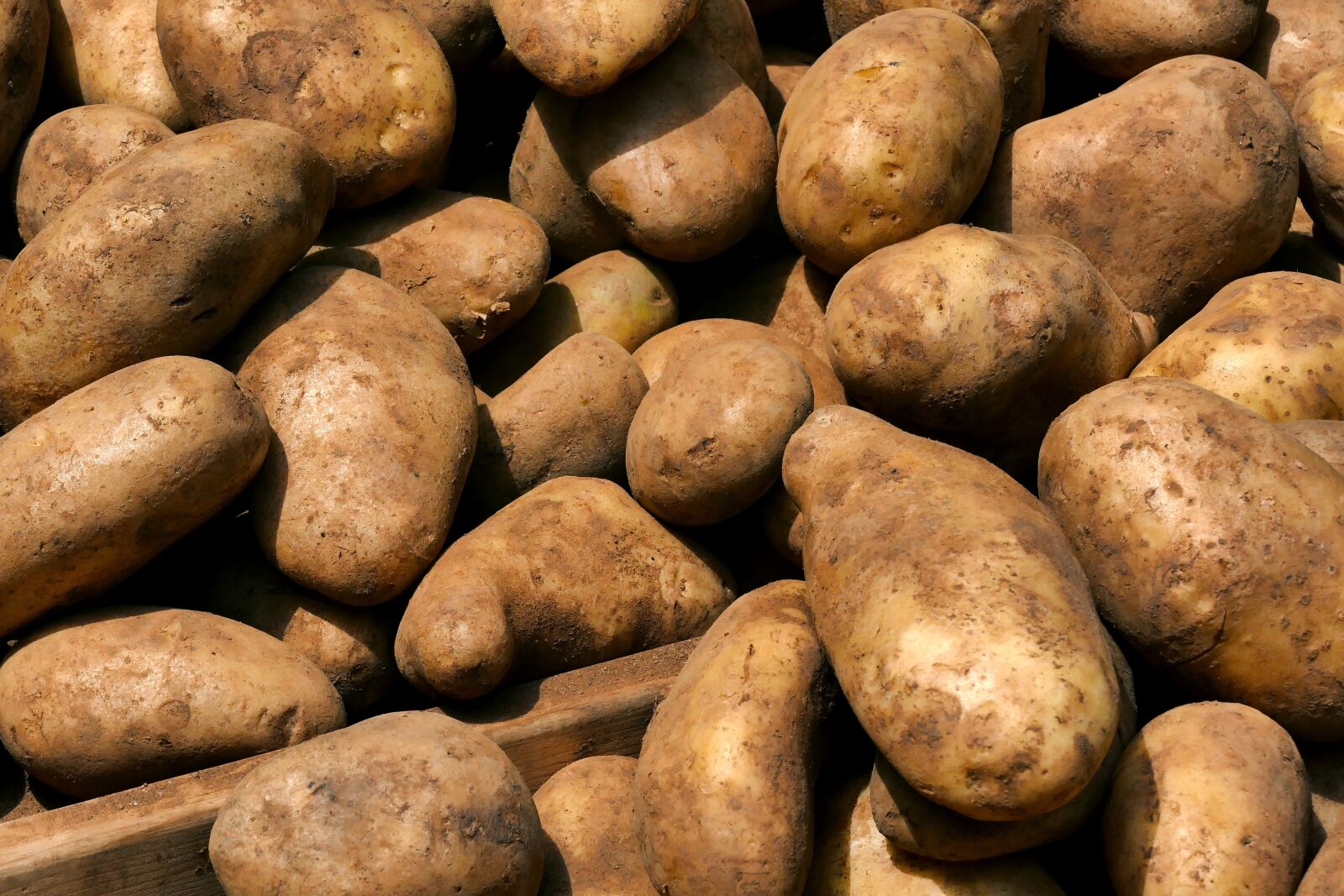 Panasonic Lumix DMC-FZ1000 sample photo. Bazaar, a potato, sweet photography