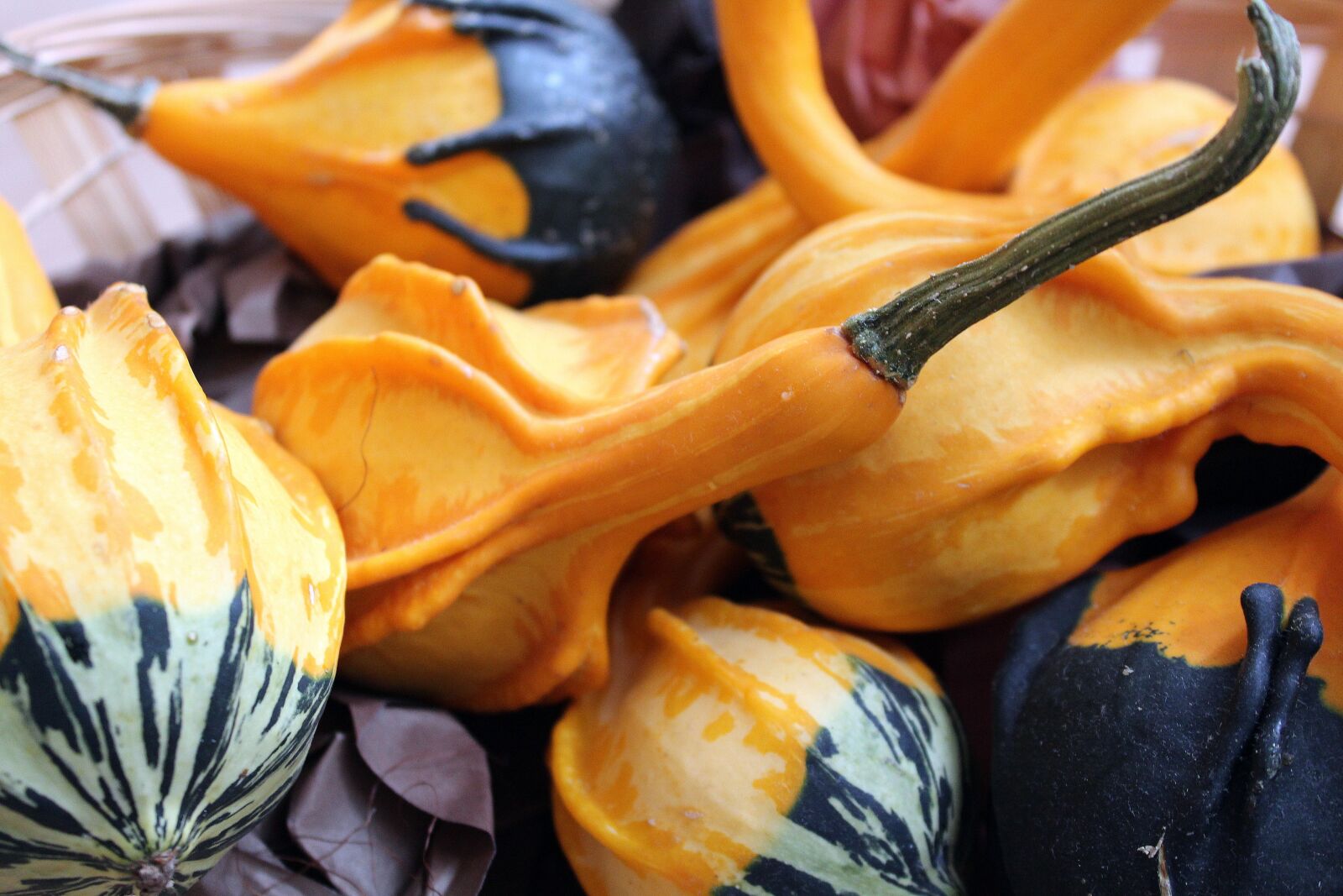 Canon EOS 1200D (EOS Rebel T5 / EOS Kiss X70 / EOS Hi) sample photo. Pumpkins, decorative, ornamental pumpkins photography