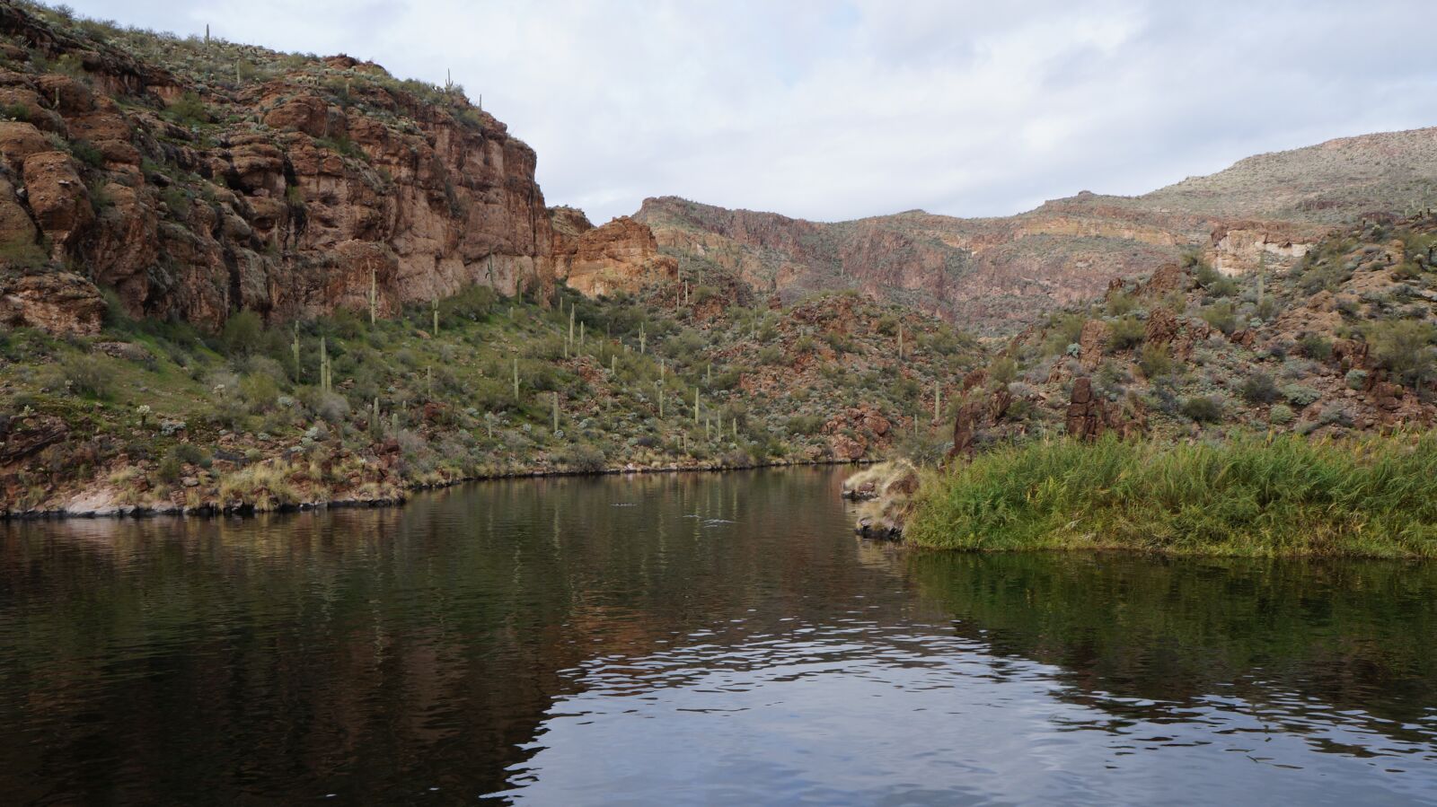 Sony Alpha a3000 + Sony E 18-55mm F3.5-5.6 OSS sample photo. Canyon lake shoreline, arizona photography