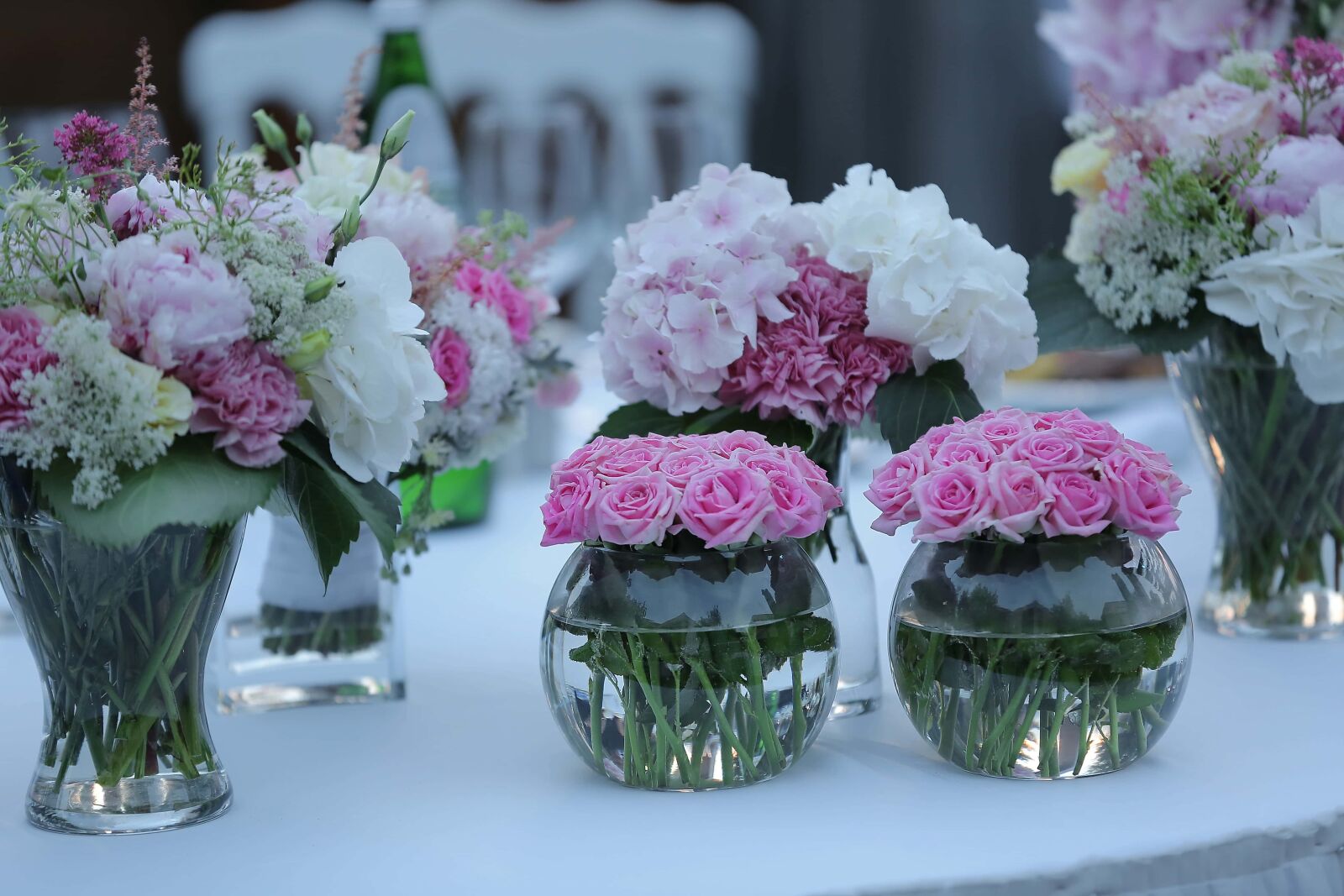 Canon EOS 5D Mark III sample photo. Still life, vase, roses photography