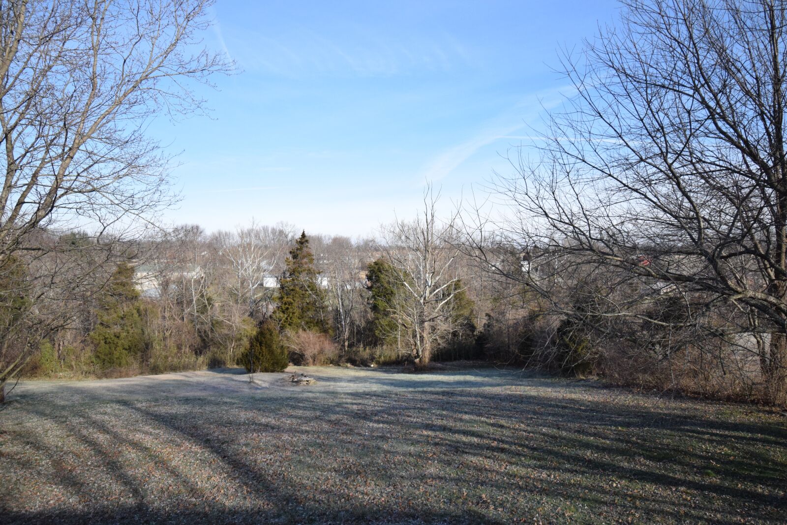 Nikon D3300 sample photo. View, backyard, winter photography