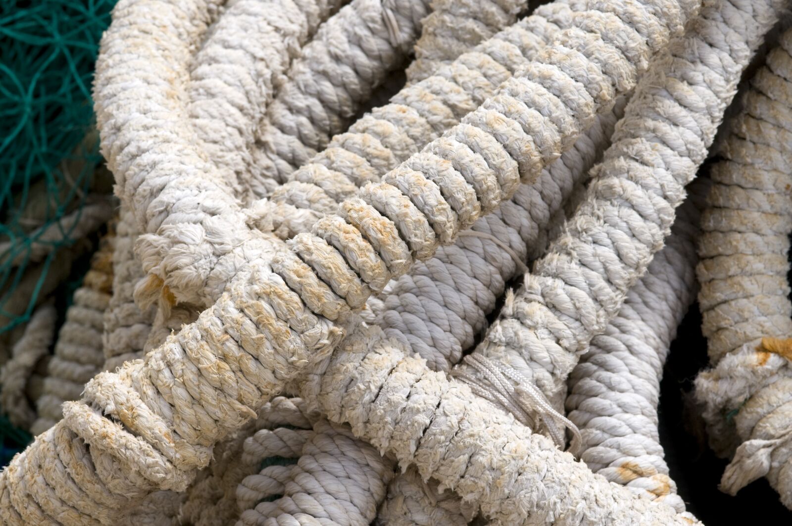 Nikon D300 sample photo. Rope, background, strong photography