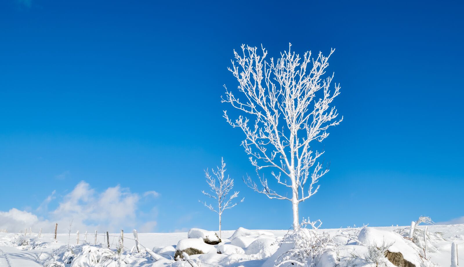 Nikon D5300 sample photo. Snow, winter, frost photography