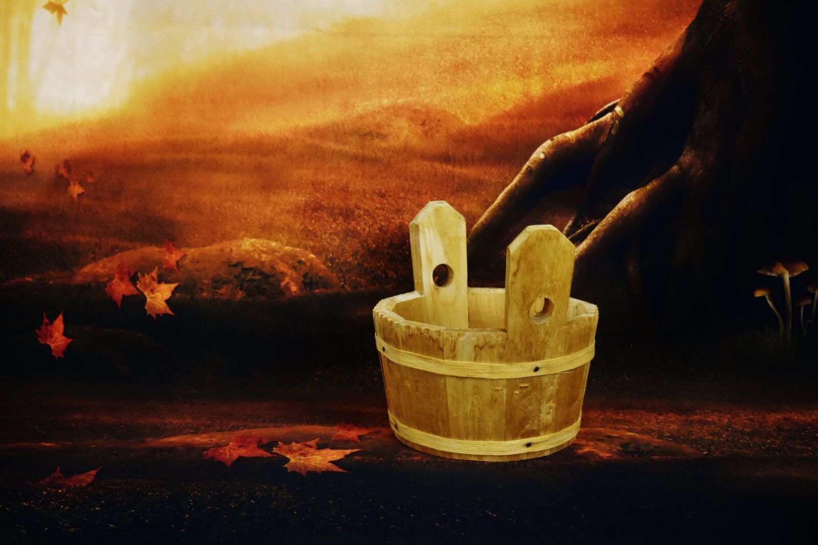 Nikon D7200 sample photo. Wooden bucket, forest, rustic photography