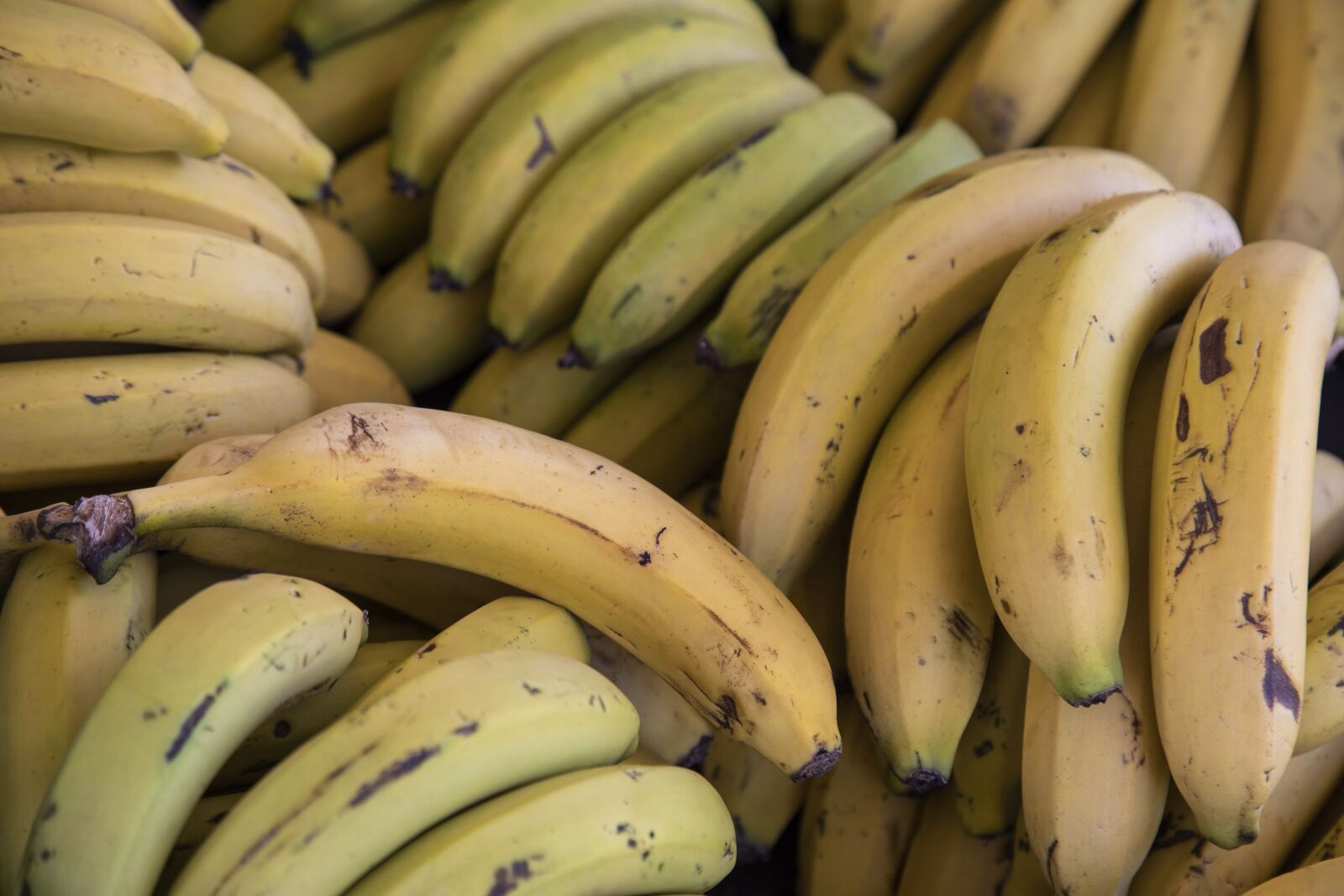Canon EOS 5D Mark IV sample photo. Banana, market, fruit photography