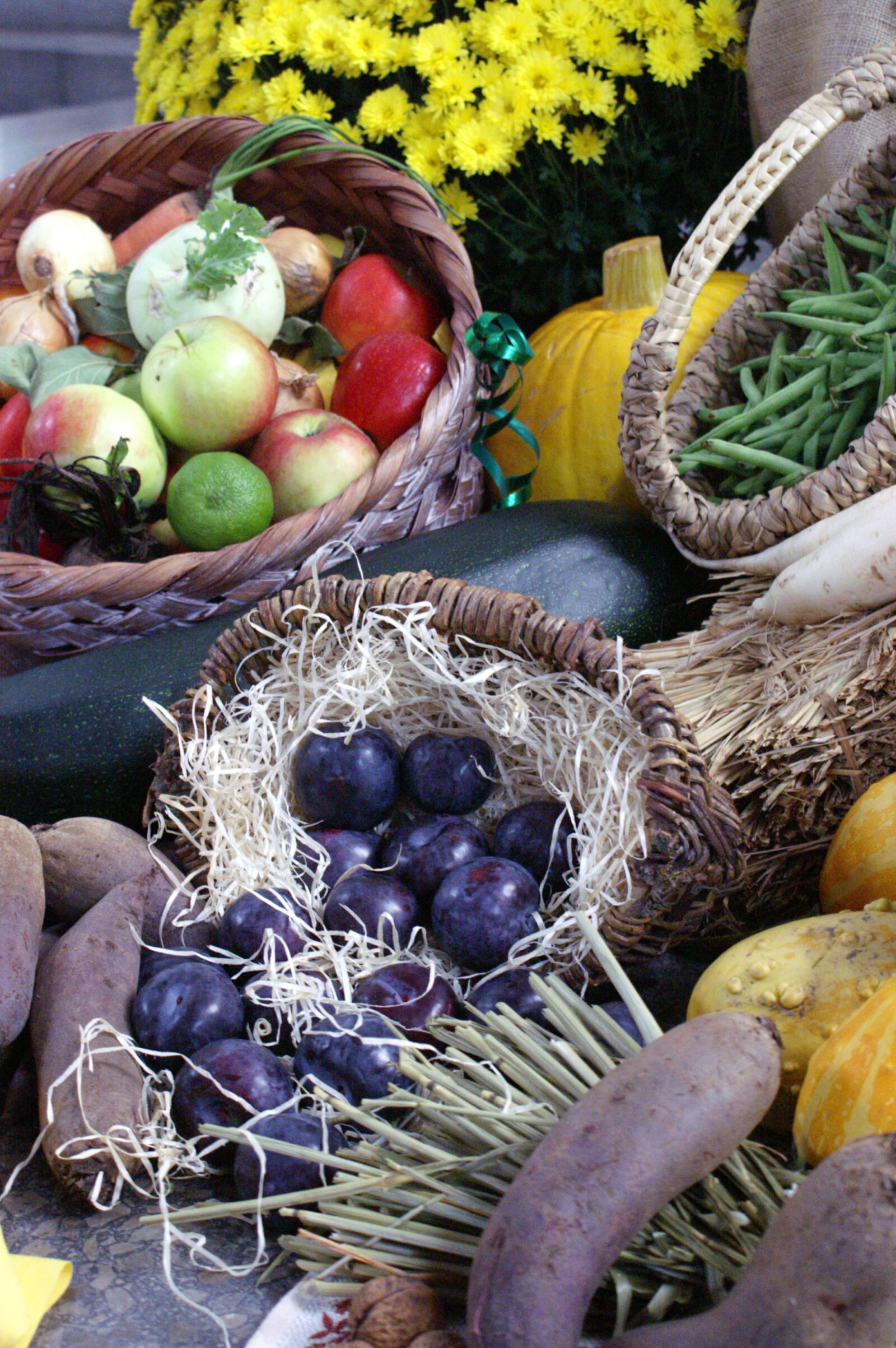 KONICA MINOLTA DYNAX 5D sample photo. Thanksgiving, grapes, vegetables photography