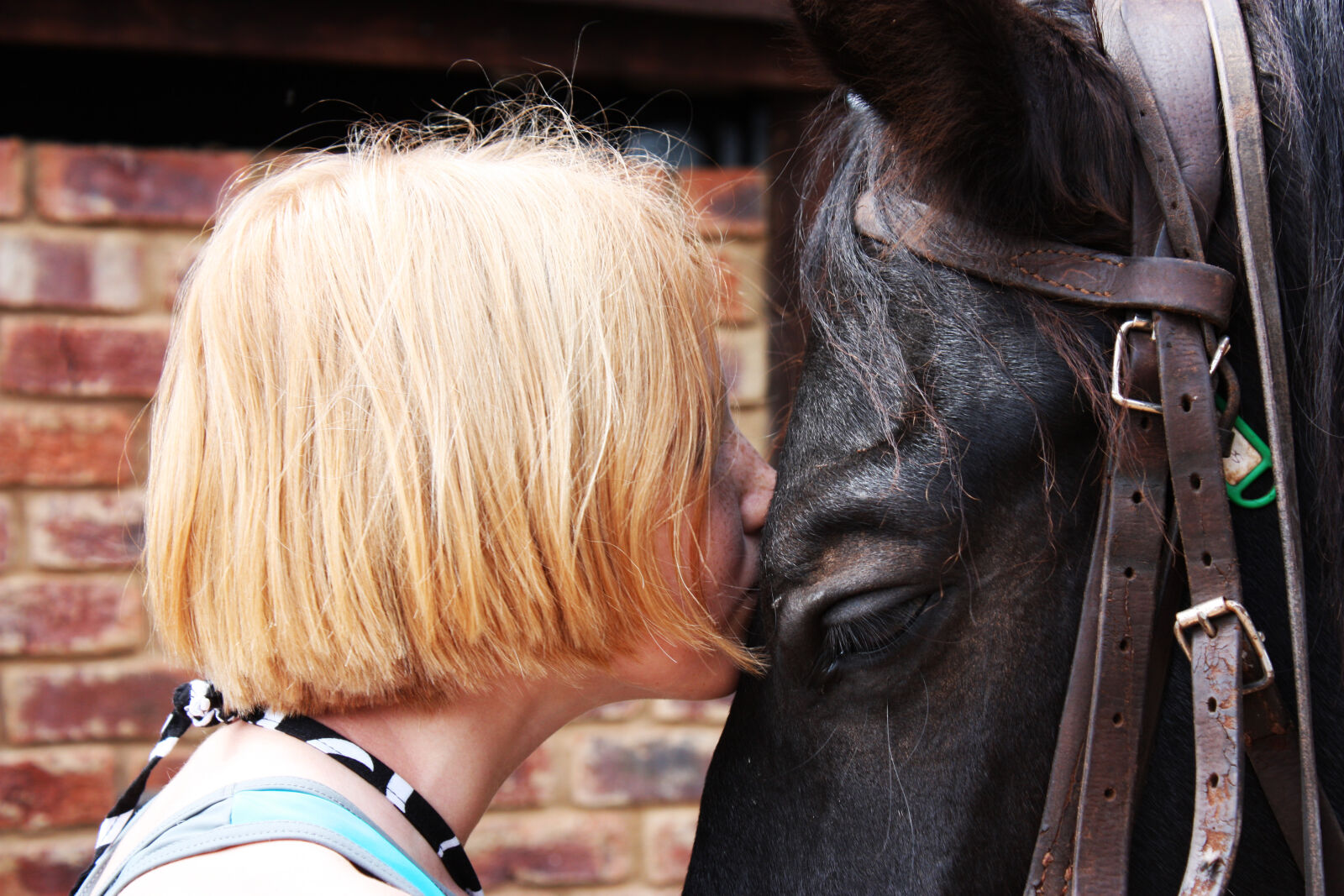 Canon EOS 450D (EOS Rebel XSi / EOS Kiss X2) sample photo. Animal, black, horse, girl photography