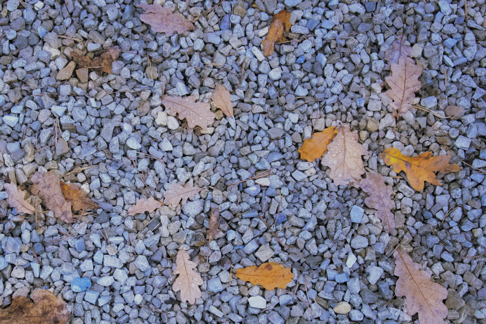 Nikon D3300 sample photo. Nature, stones, texture photography