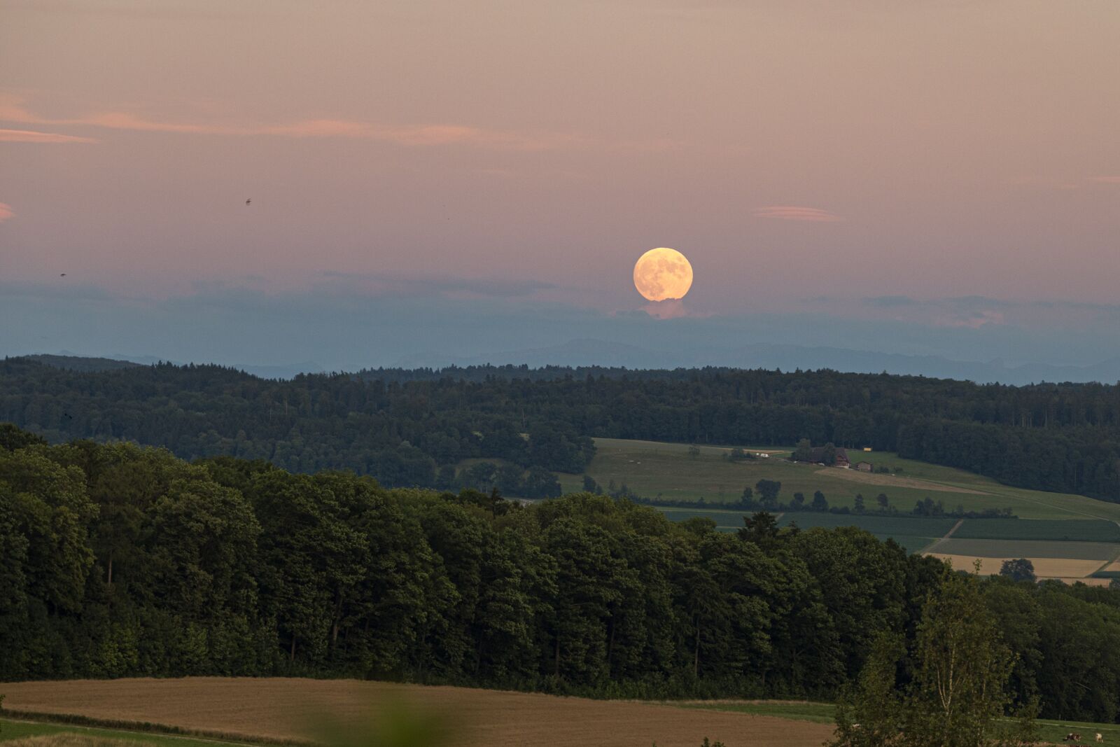 Canon EOS R sample photo. Moon, horizon, landscape photography