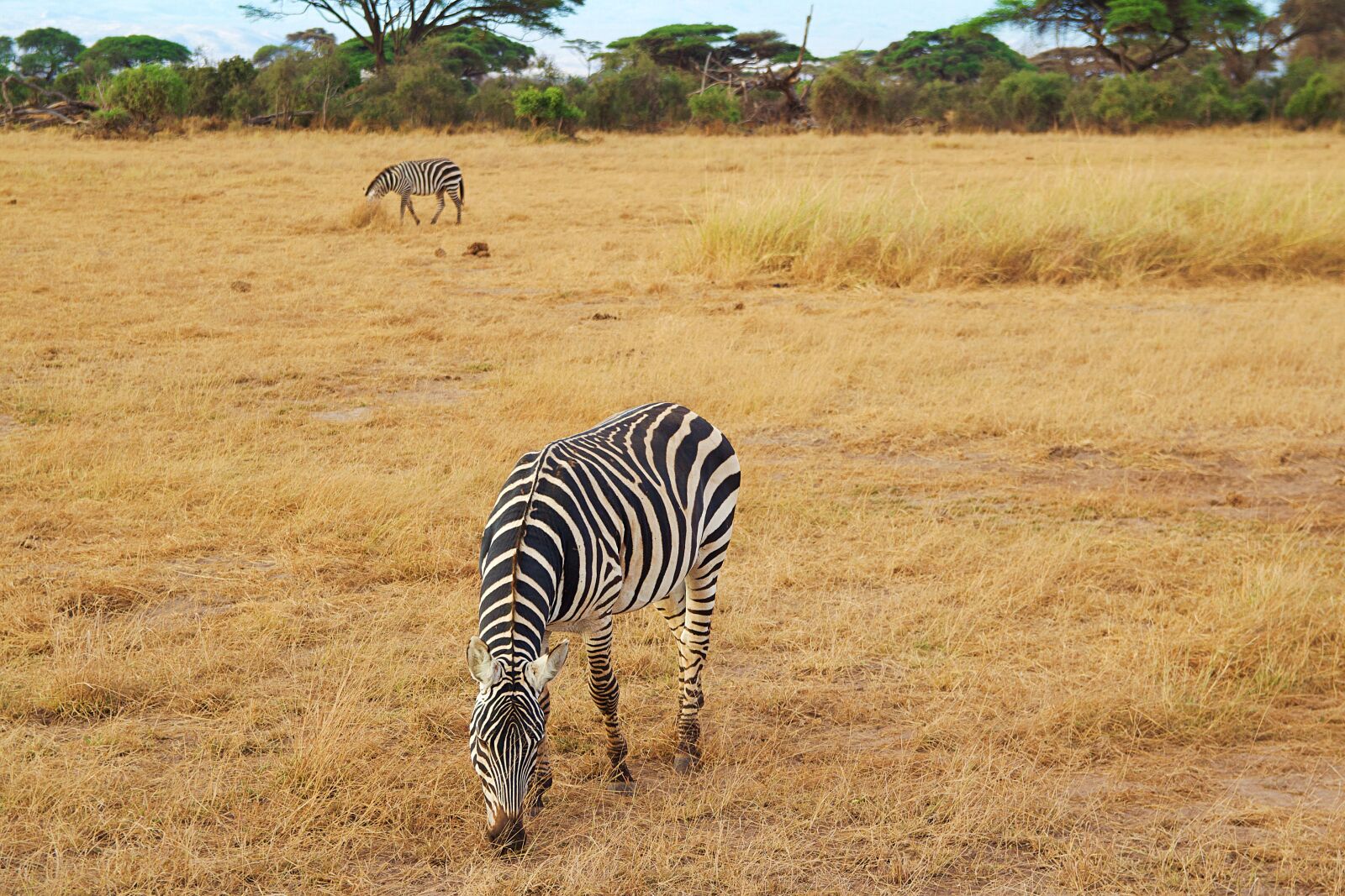 Canon EOS 600D (Rebel EOS T3i / EOS Kiss X5) sample photo. Africa, kilimanjaro, kenya photography