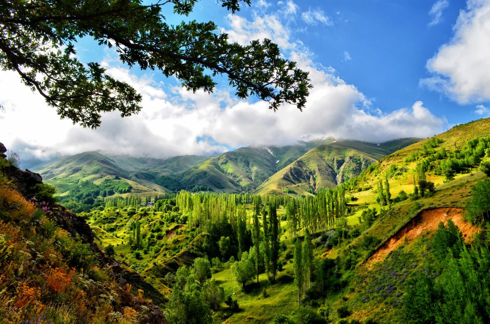 Nikon D5100 sample photo. Kaçkars, landscape, nature photography