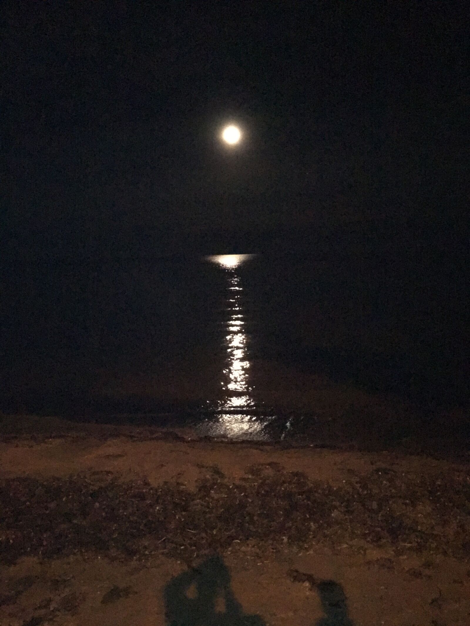 iPhone SE back camera 4.15mm f/2.2 sample photo. Moon, in, browns photography