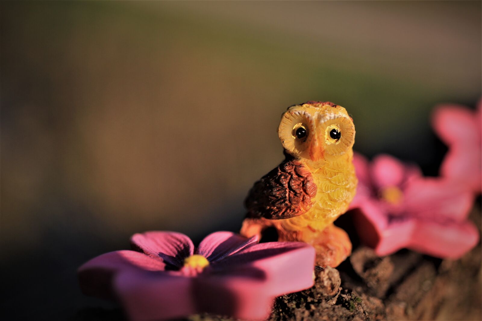 Canon EOS 7D sample photo. Owl, flowers, yellow photography
