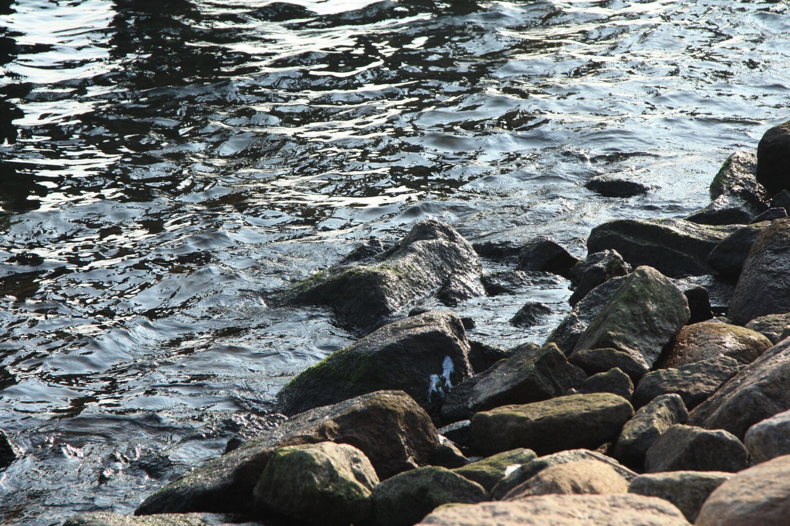 Canon EOS 450D (EOS Rebel XSi / EOS Kiss X2) sample photo. Waters, nature, sea photography
