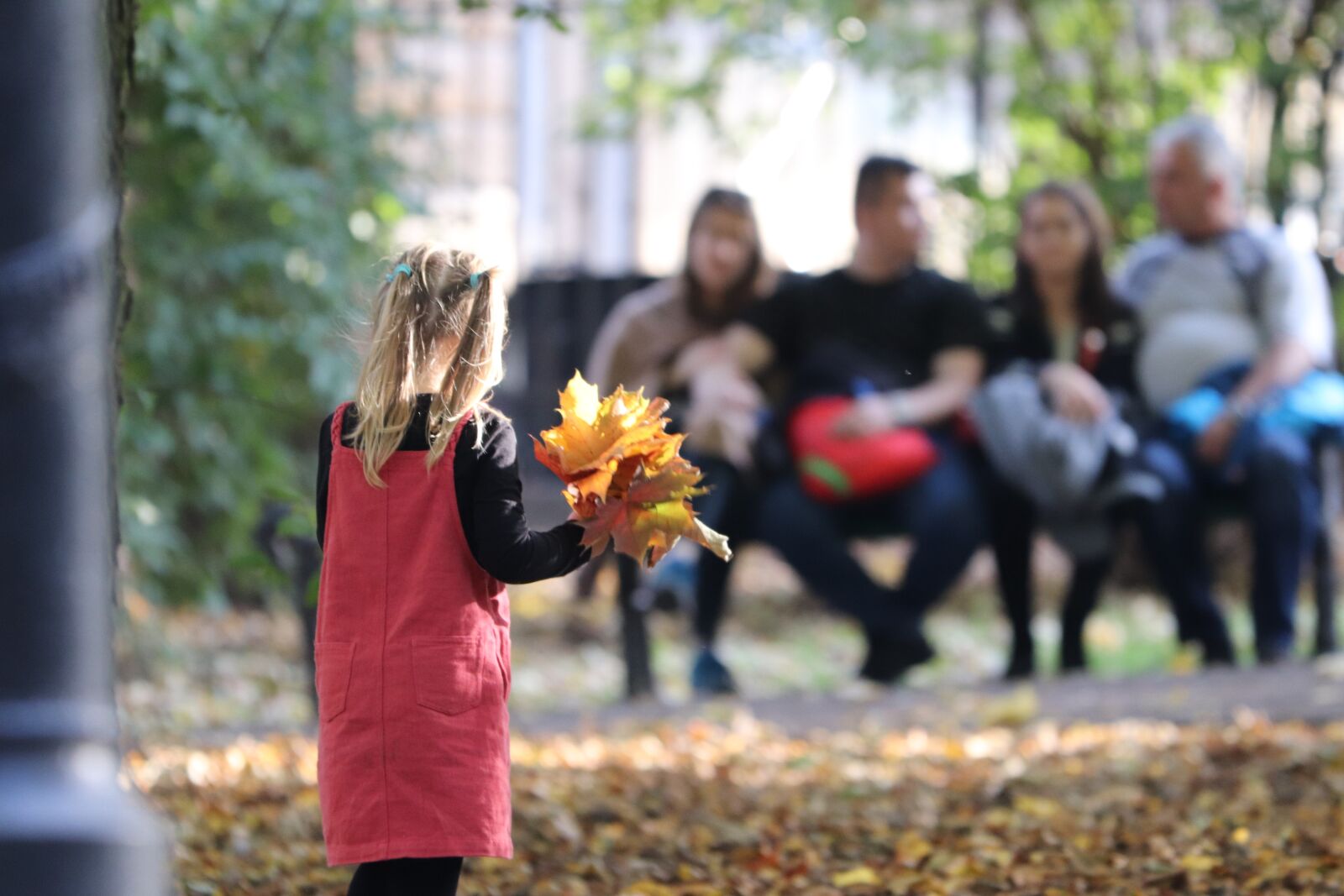 Canon EOS 77D (EOS 9000D / EOS 770D) + Canon EF 70-300 F4-5.6 IS II USM sample photo. Girl, leaf, garden photography