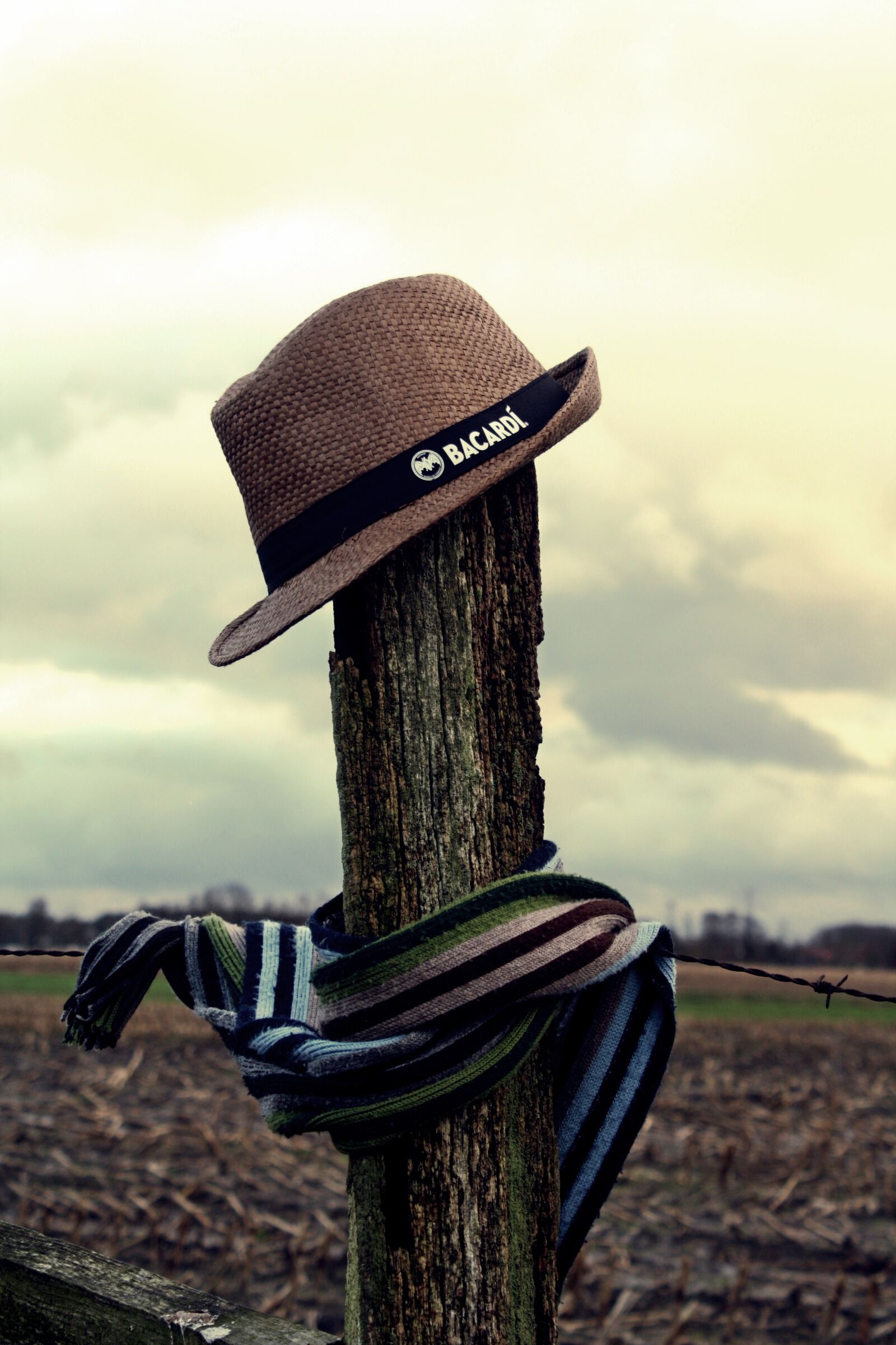 Canon EOS 1000D (EOS Digital Rebel XS / EOS Kiss F) sample photo. Scarecrow, straw hat, moor photography