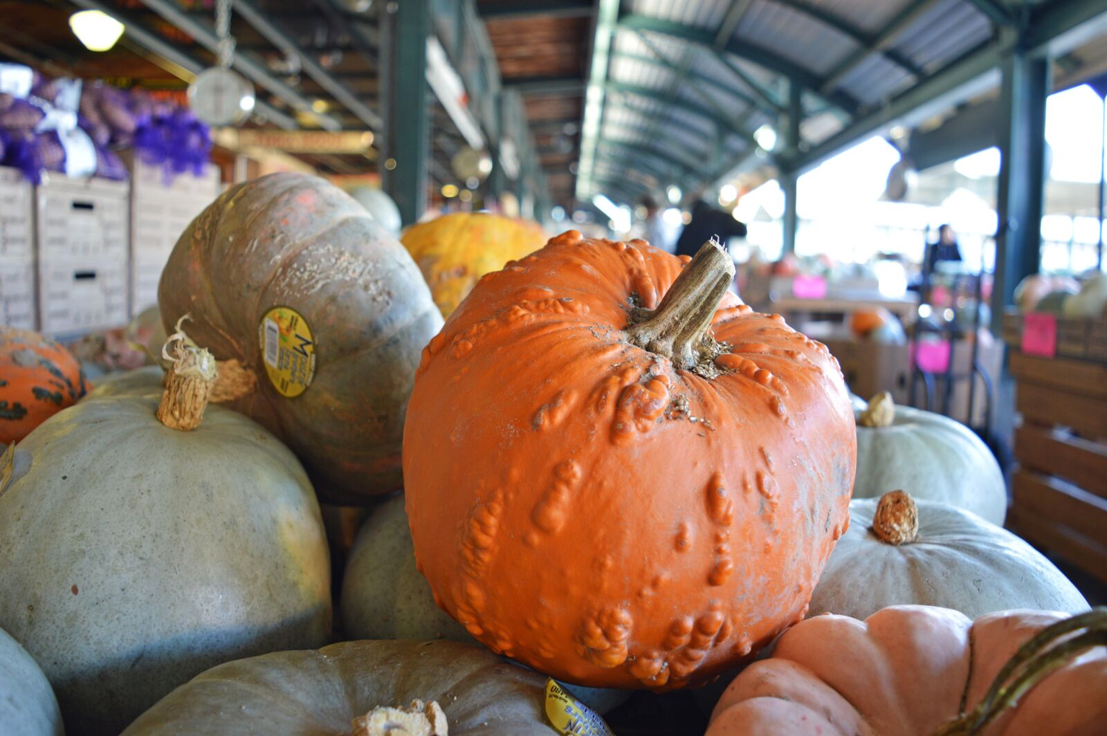 Nikon D3200 sample photo. Fall, pumpkins, gourds photography