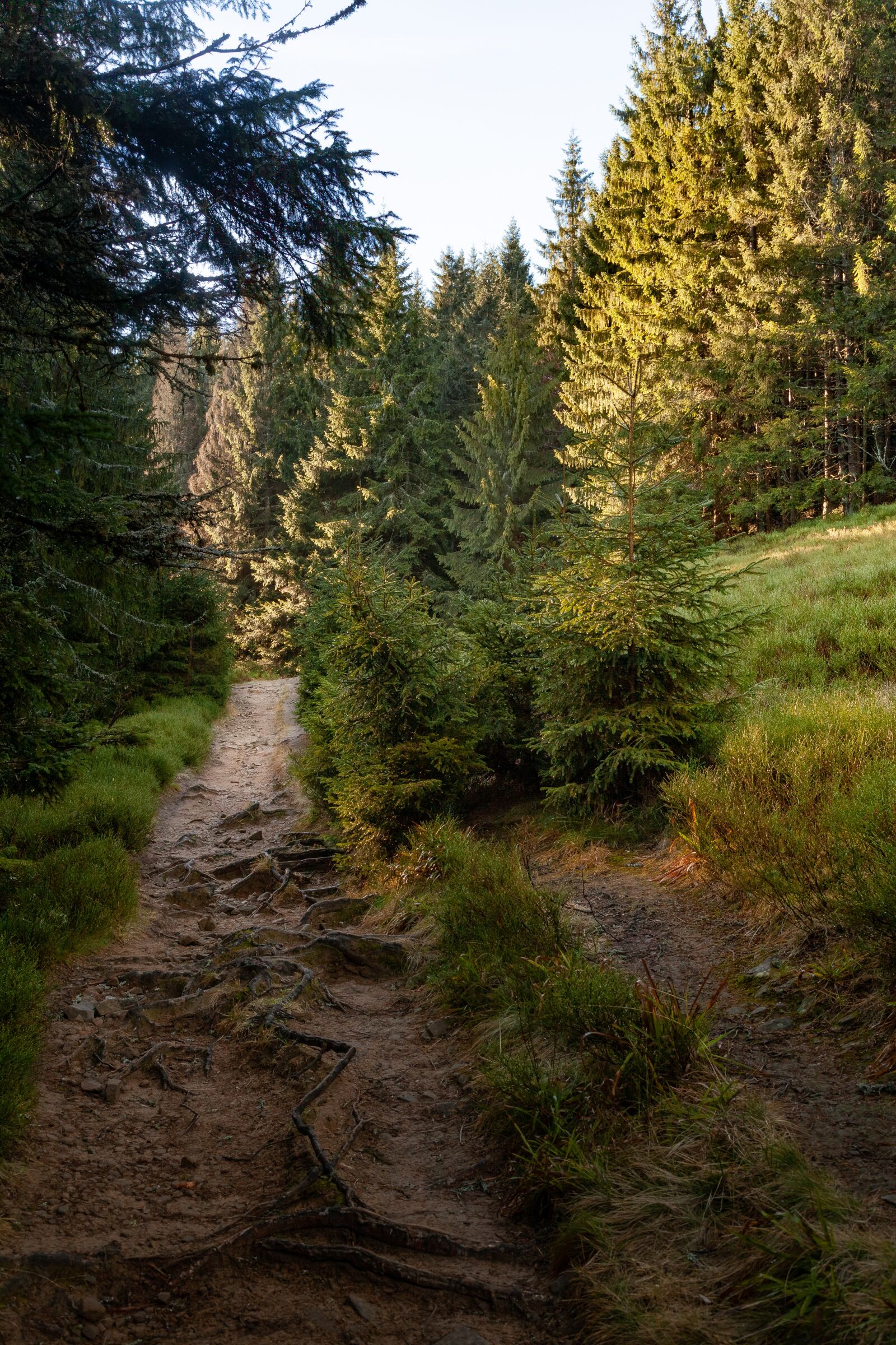 Canon EOS 5D Mark II sample photo. Pilsko, beskidy, beskids photography