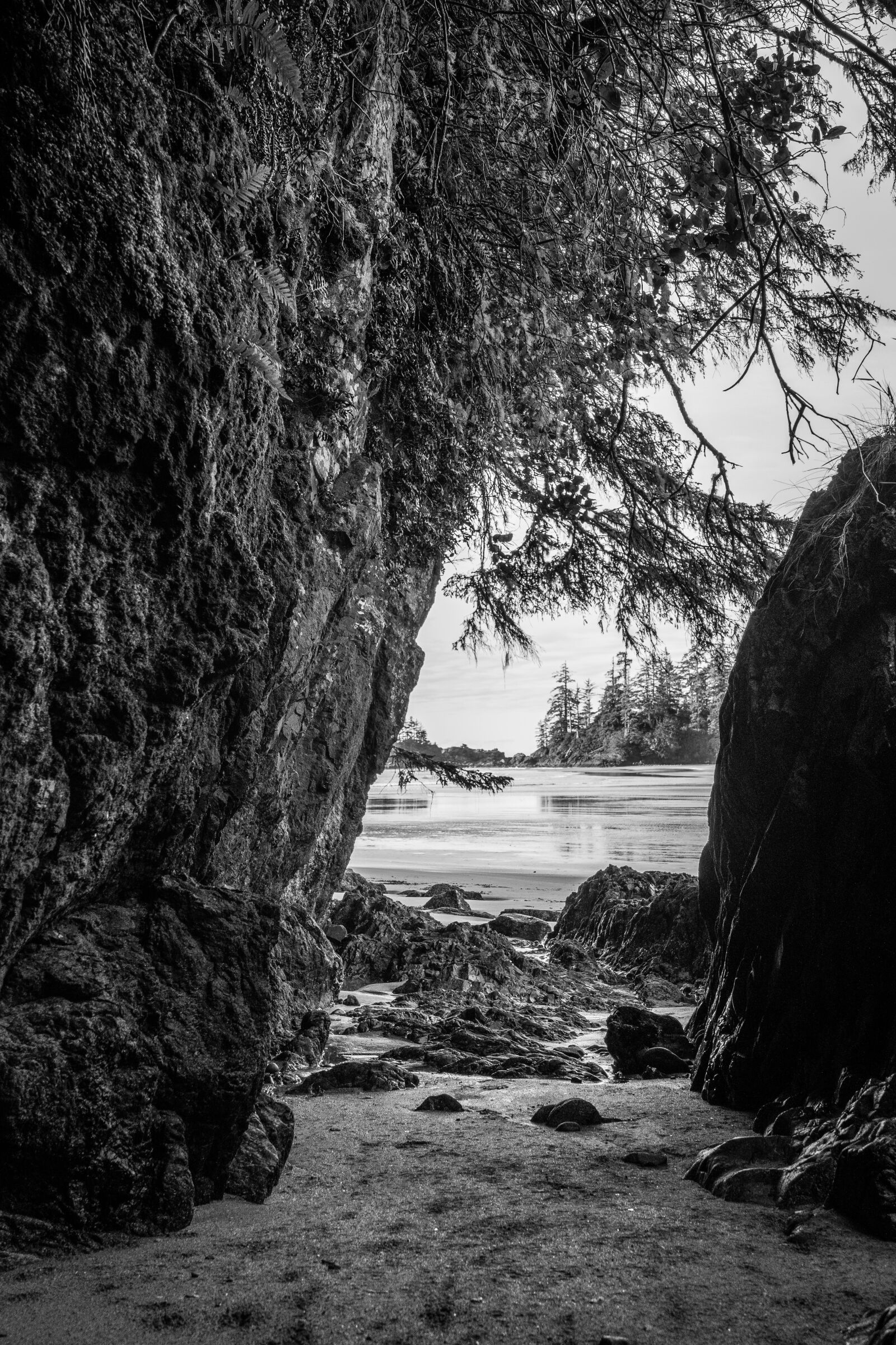 Sony FE 24-105mm F4 G OSS sample photo. Beach, tofino, vancouver island photography