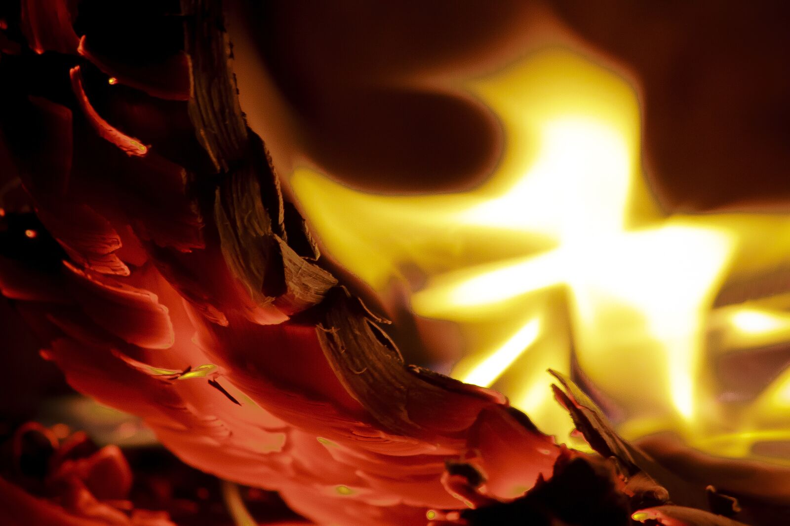 Canon EOS 50D sample photo. Fire, embers, burn photography