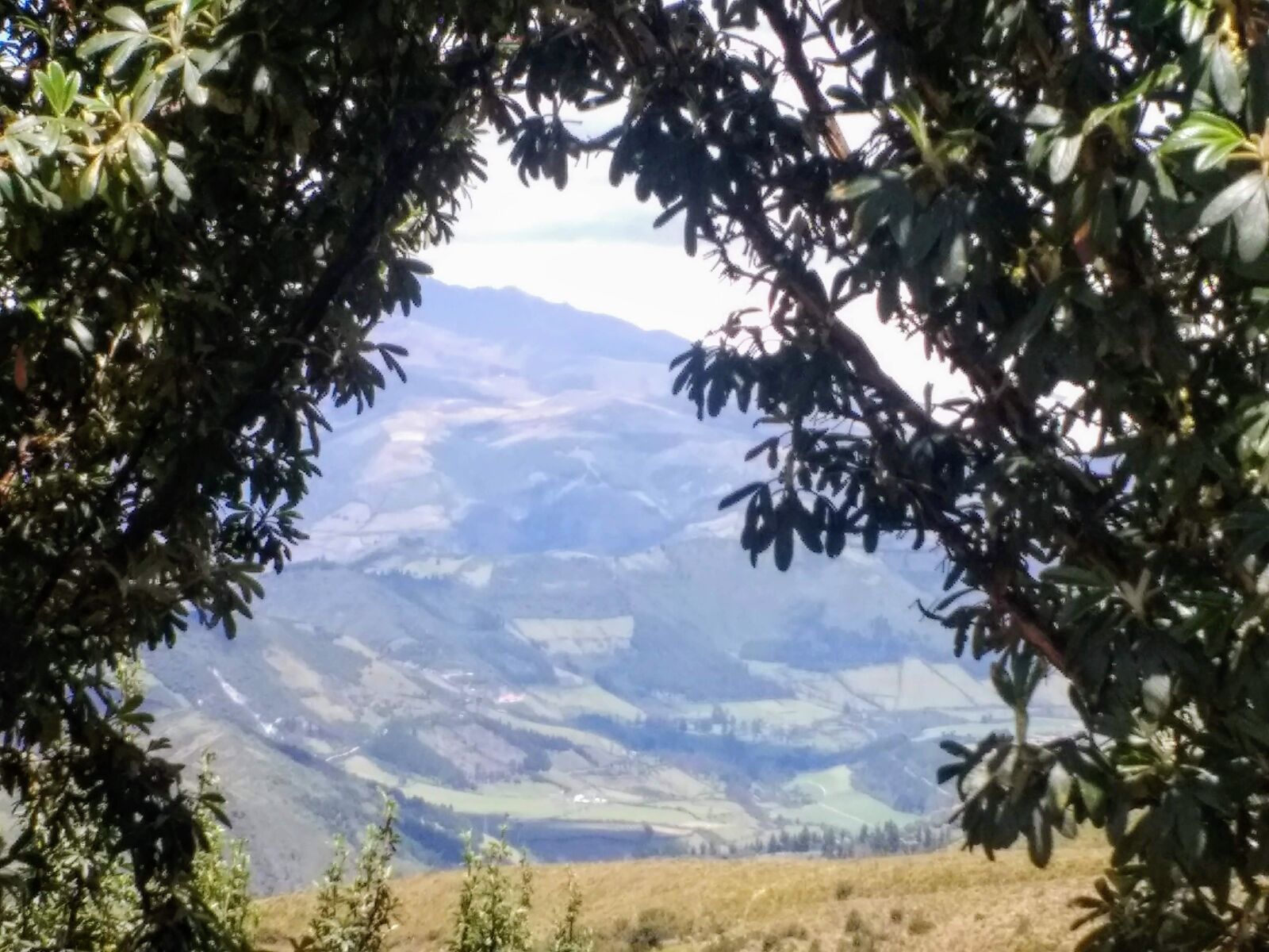 Motorola Moto G (4) sample photo. Mountain, trees, landscape photography
