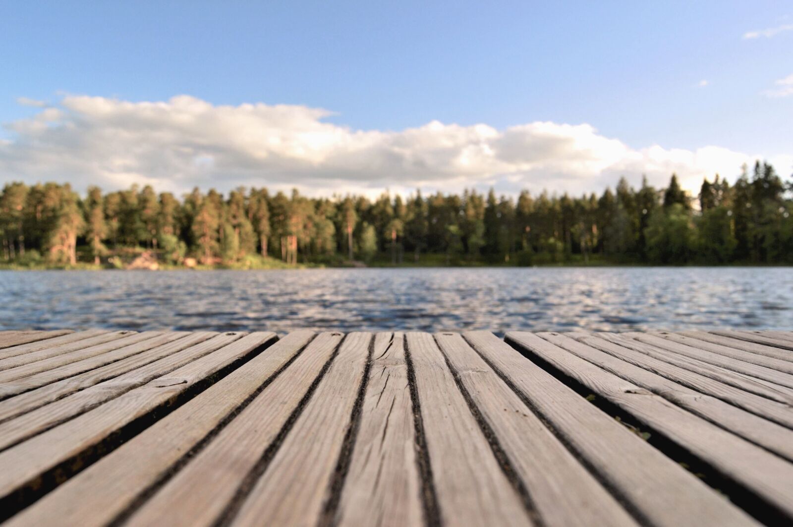 Nikon D3200 sample photo. Plank, lake, water, forest photography