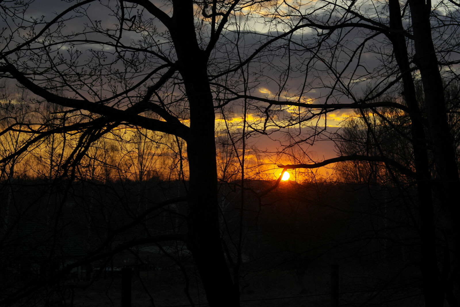 Samsung NX1000 sample photo