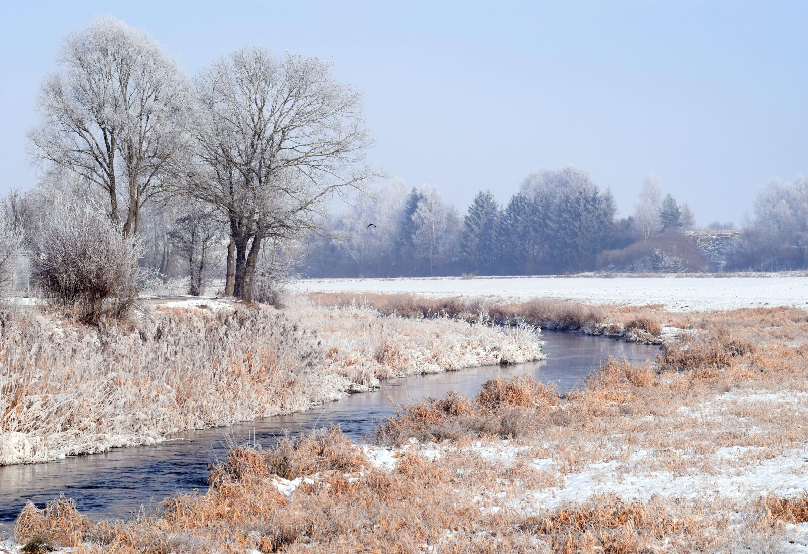 Nikon D3300 sample photo. Winter, river, nature photography