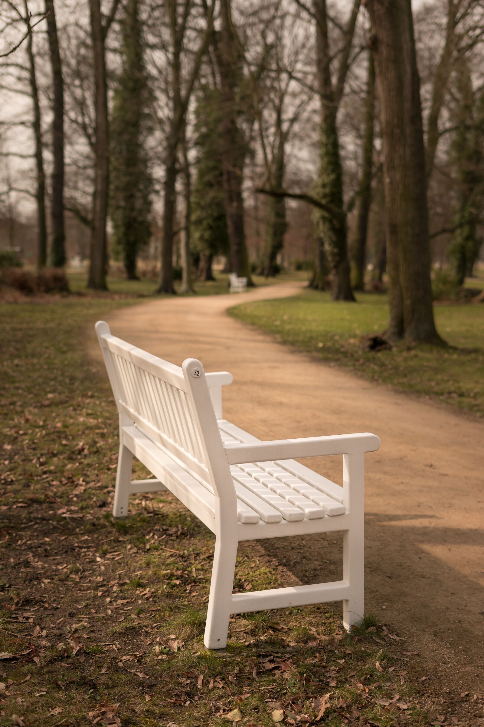Sony a7 + Sony FE 50mm F1.8 sample photo. Bank, rest, relax photography
