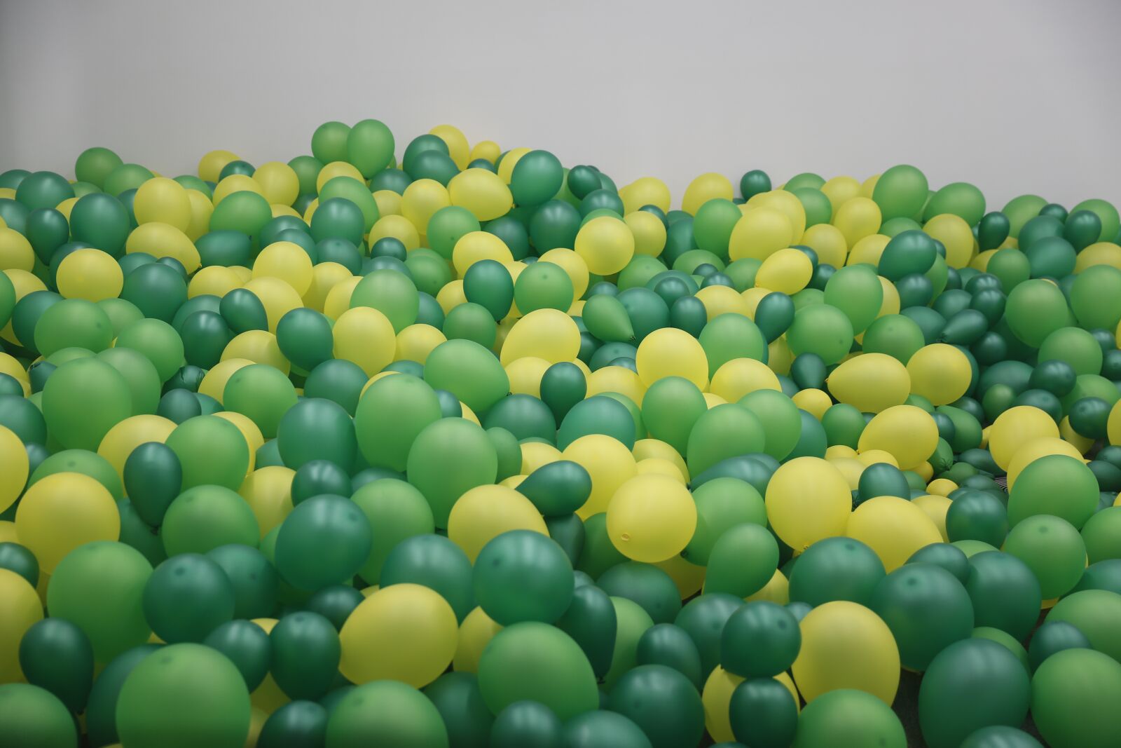 Canon EF 24-70mm F2.8L II USM sample photo. Balloon, green, there are photography