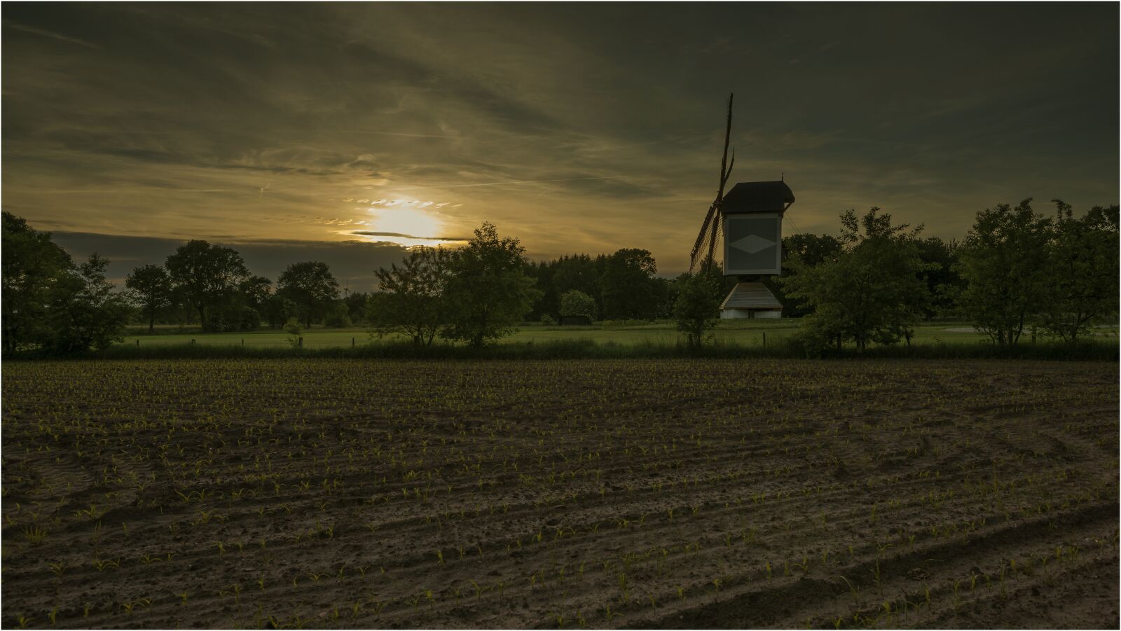 Sony a99 II sample photo. Wind mill, sunset, landscape photography