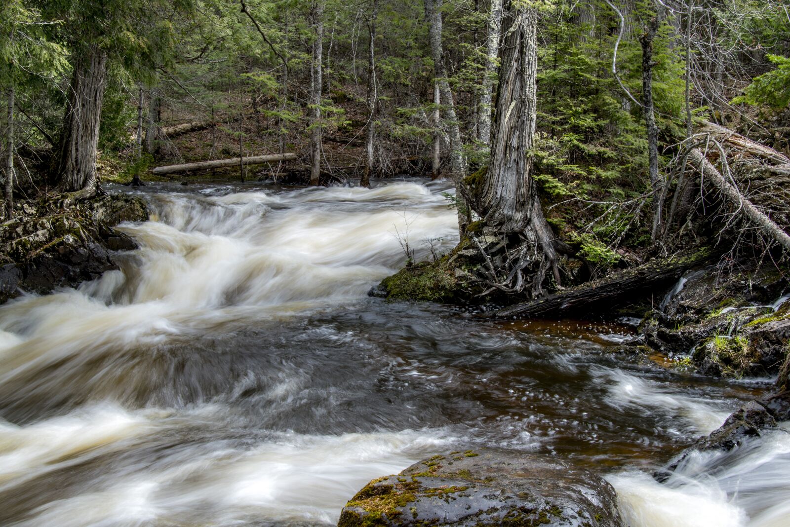 Nikon D810 sample photo. Waterfall, river, nature photography