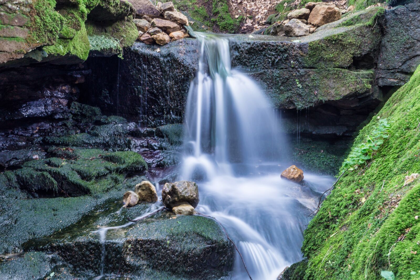 Sony DT 18-200mm F3.5-6.3 sample photo. Bach, forest, nature photography