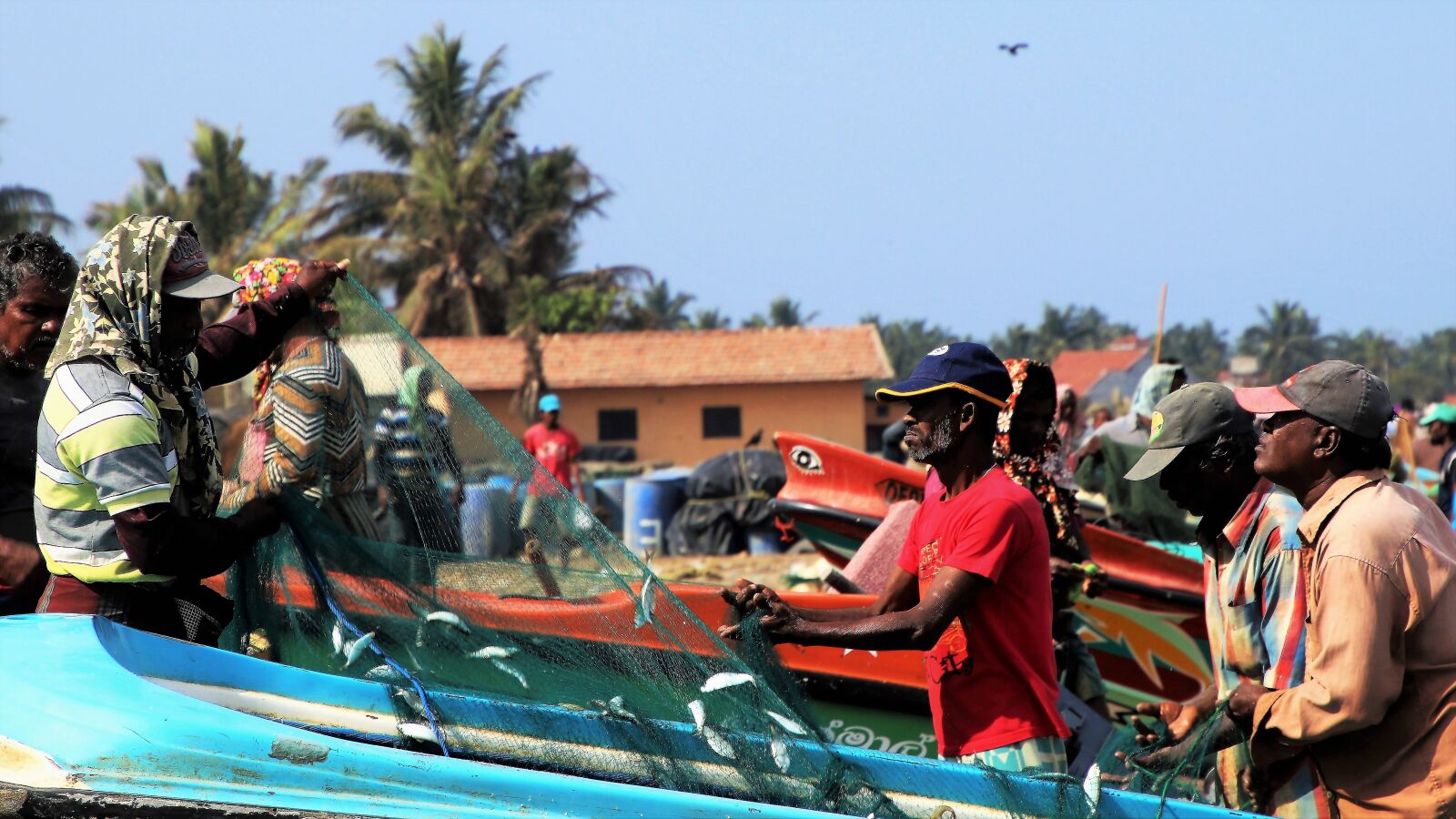 Canon EOS 80D sample photo. The fisherman, sea, network photography