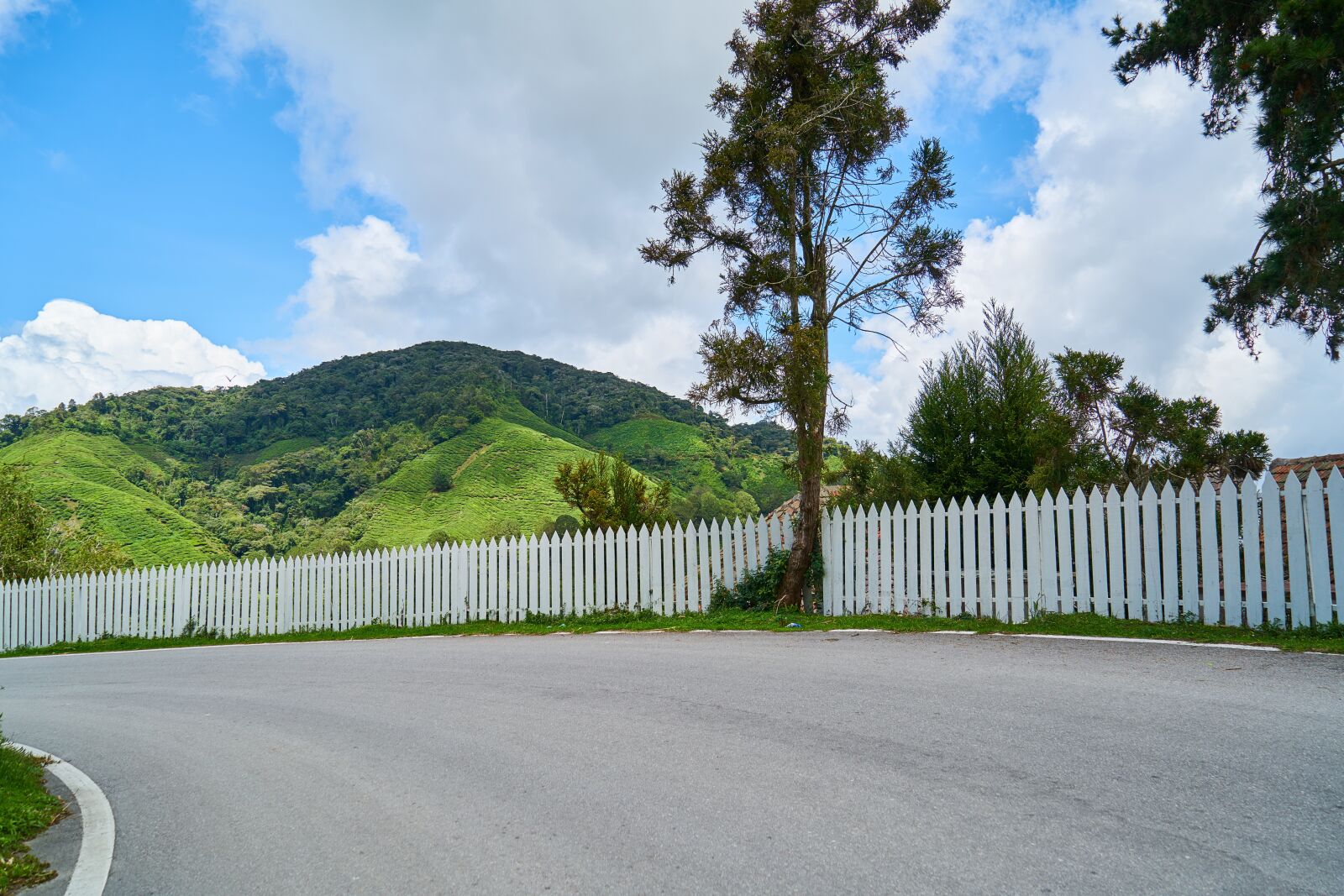 Sony a7R II sample photo. Road, fence, go photography