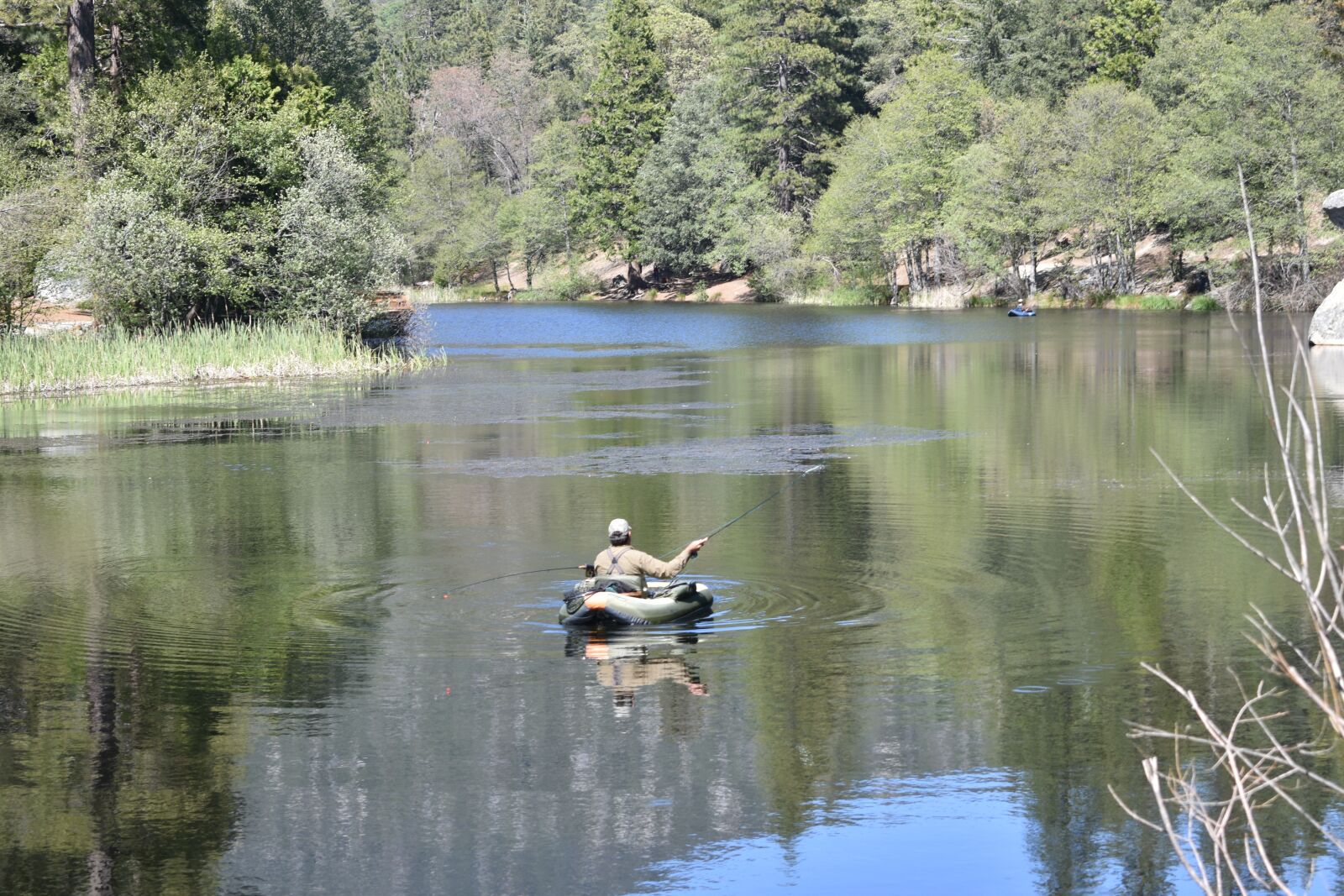 Nikon D3400 sample photo. Lake, nature, water photography