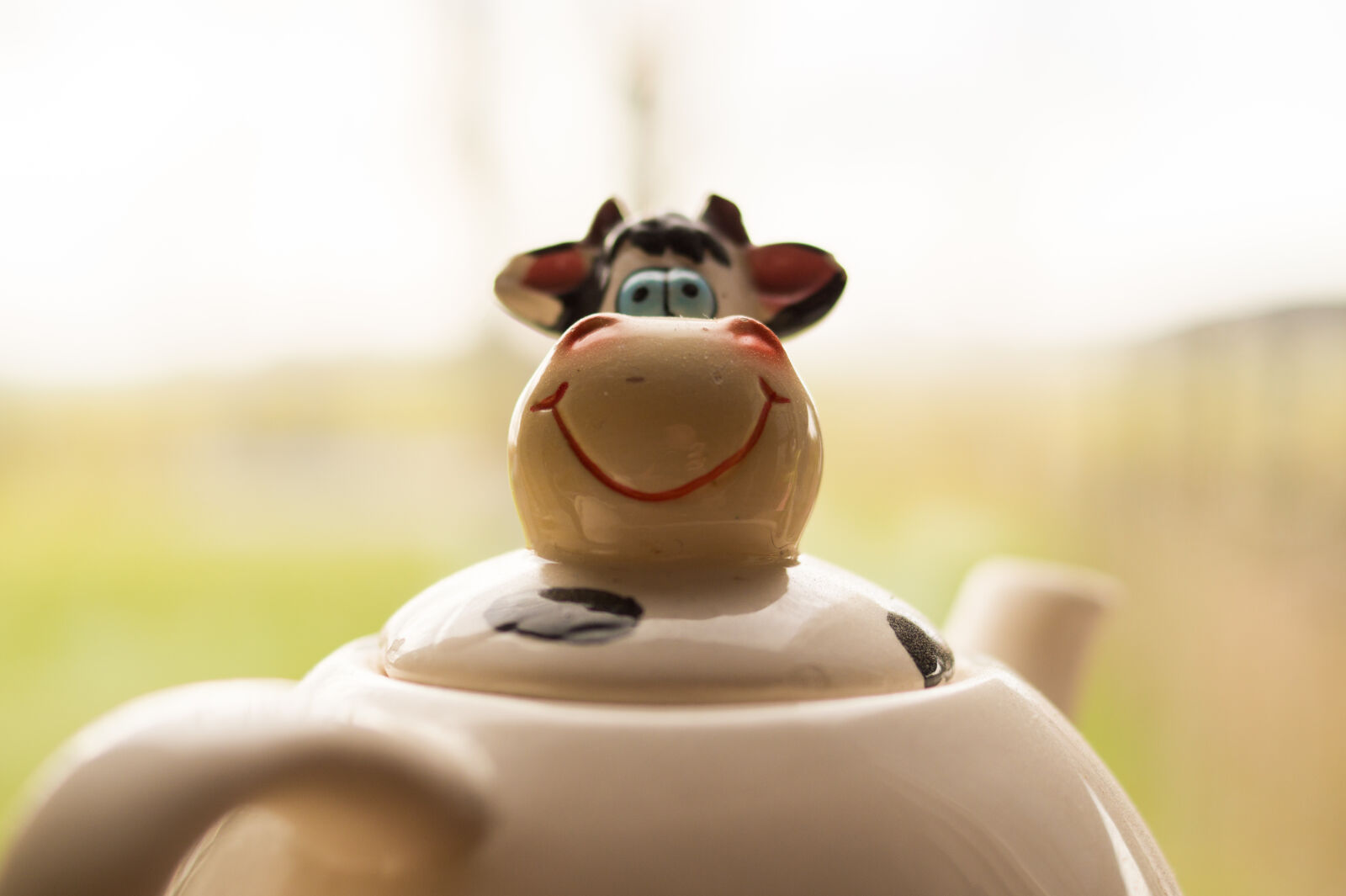 Sony DT 35mm F1.8 SAM sample photo. Tea, cow, living, room photography