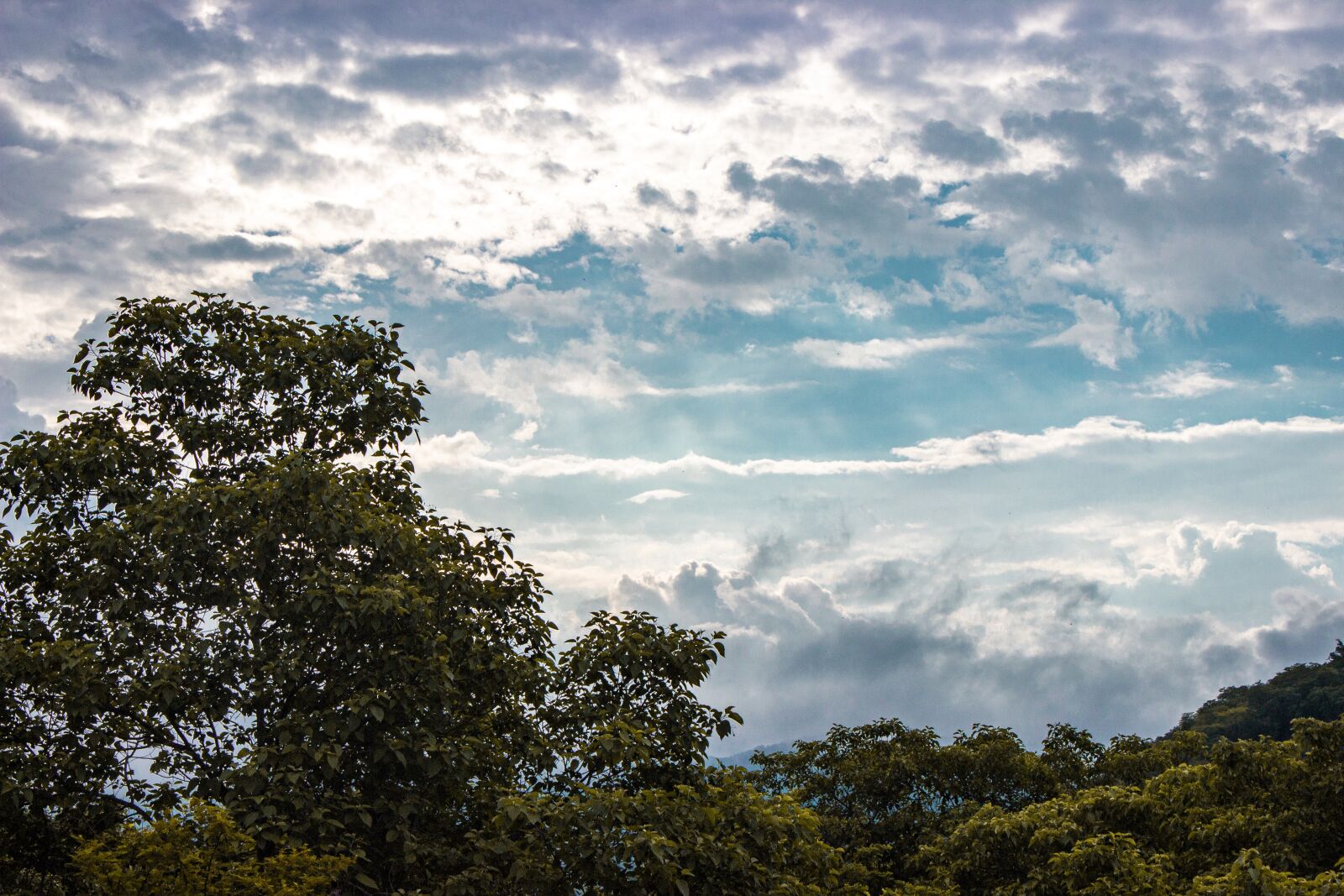 Canon EOS 600D (Rebel EOS T3i / EOS Kiss X5) sample photo. Landscape, water, nature photography