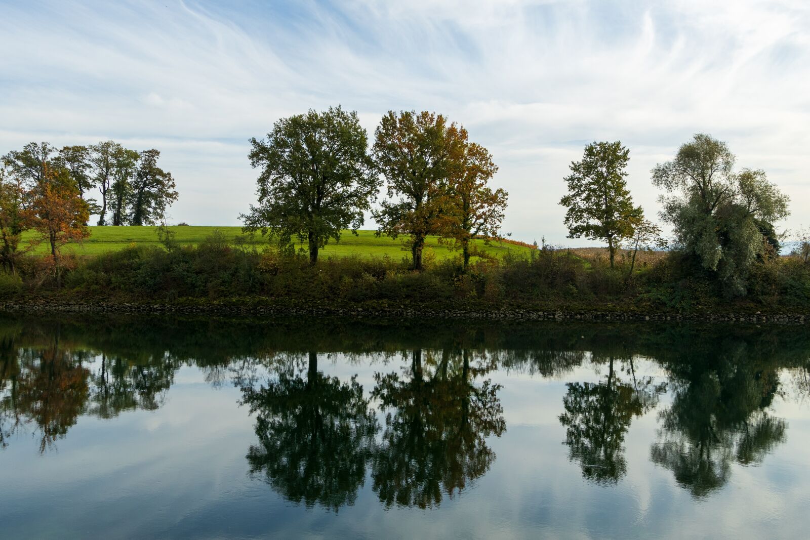 Canon EOS R sample photo. Trees, lake, nature photography