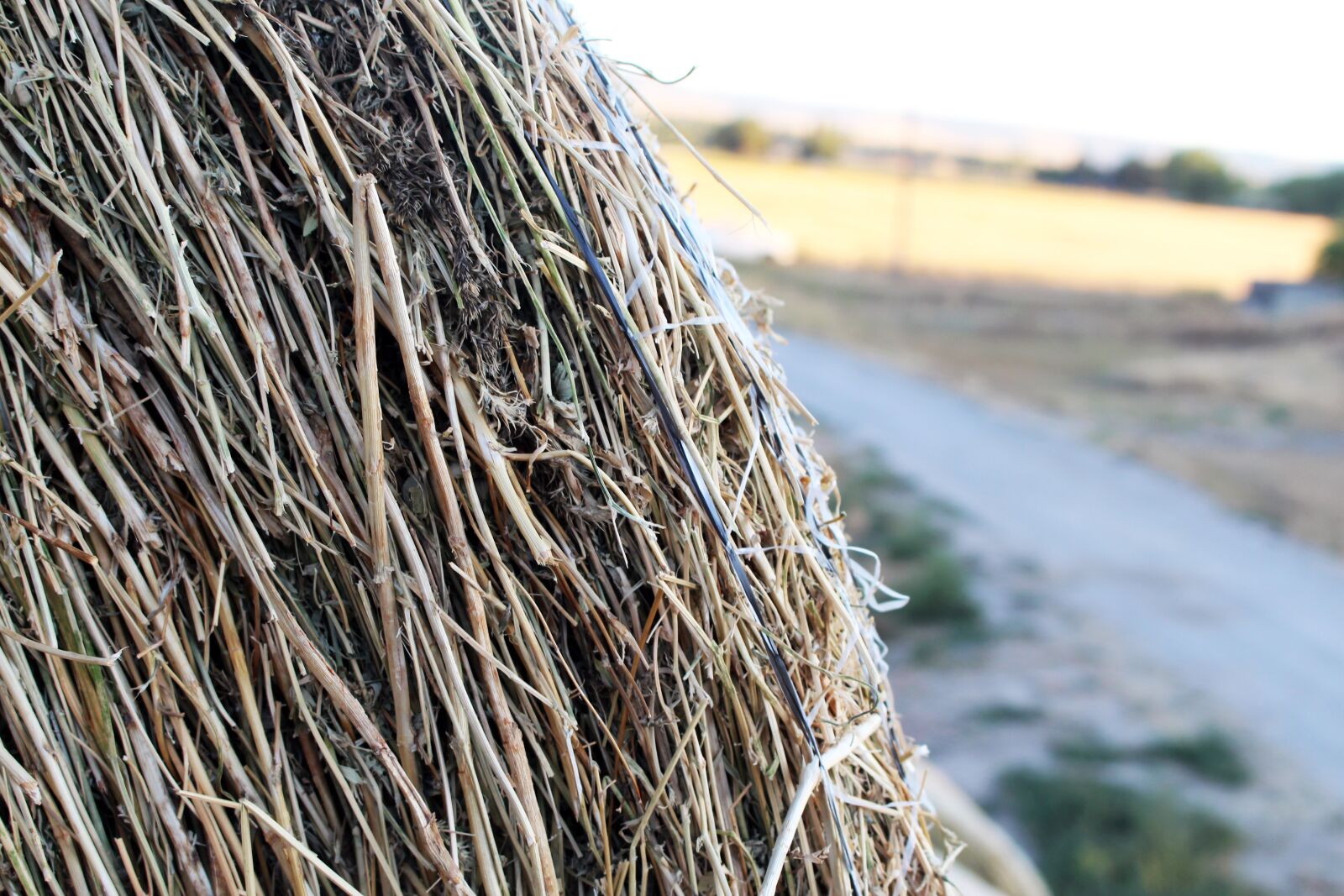 Canon EOS 700D (EOS Rebel T5i / EOS Kiss X7i) sample photo. Hay bales, countryside, rural photography
